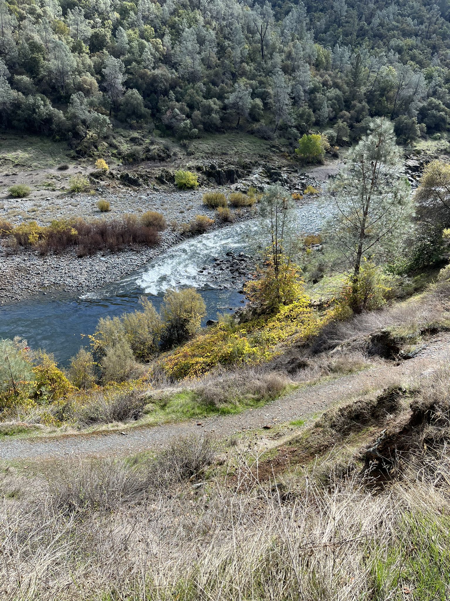 A river with rapids flows past rocky, tree-lined banks under bright light. - Robie Point Loop via Western States Trail