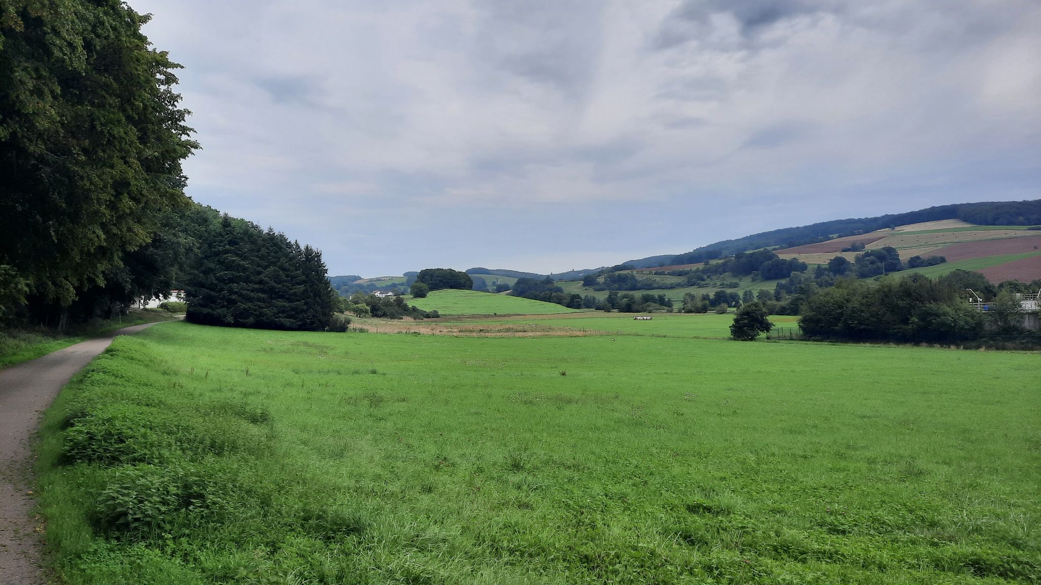 Glanwiesen bei Rehweiler
