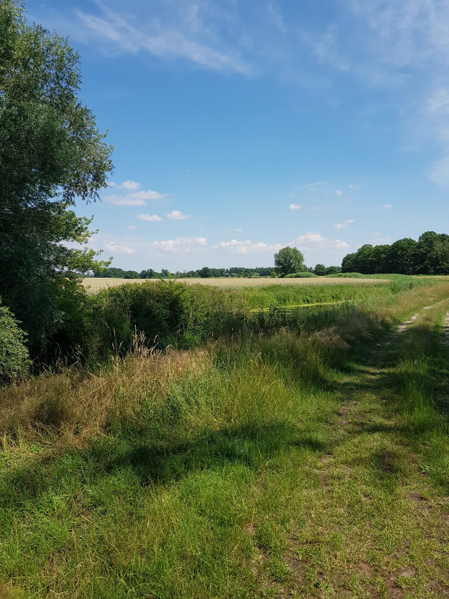 bei Gladigau