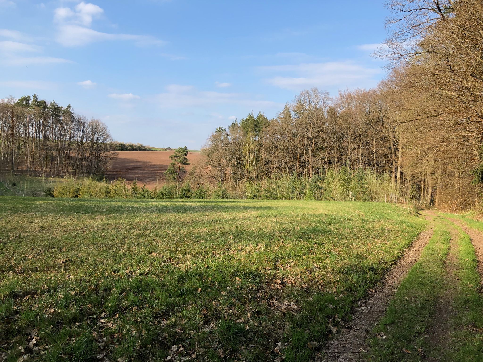 Steigerwaldweg nach Weipelsdorf
