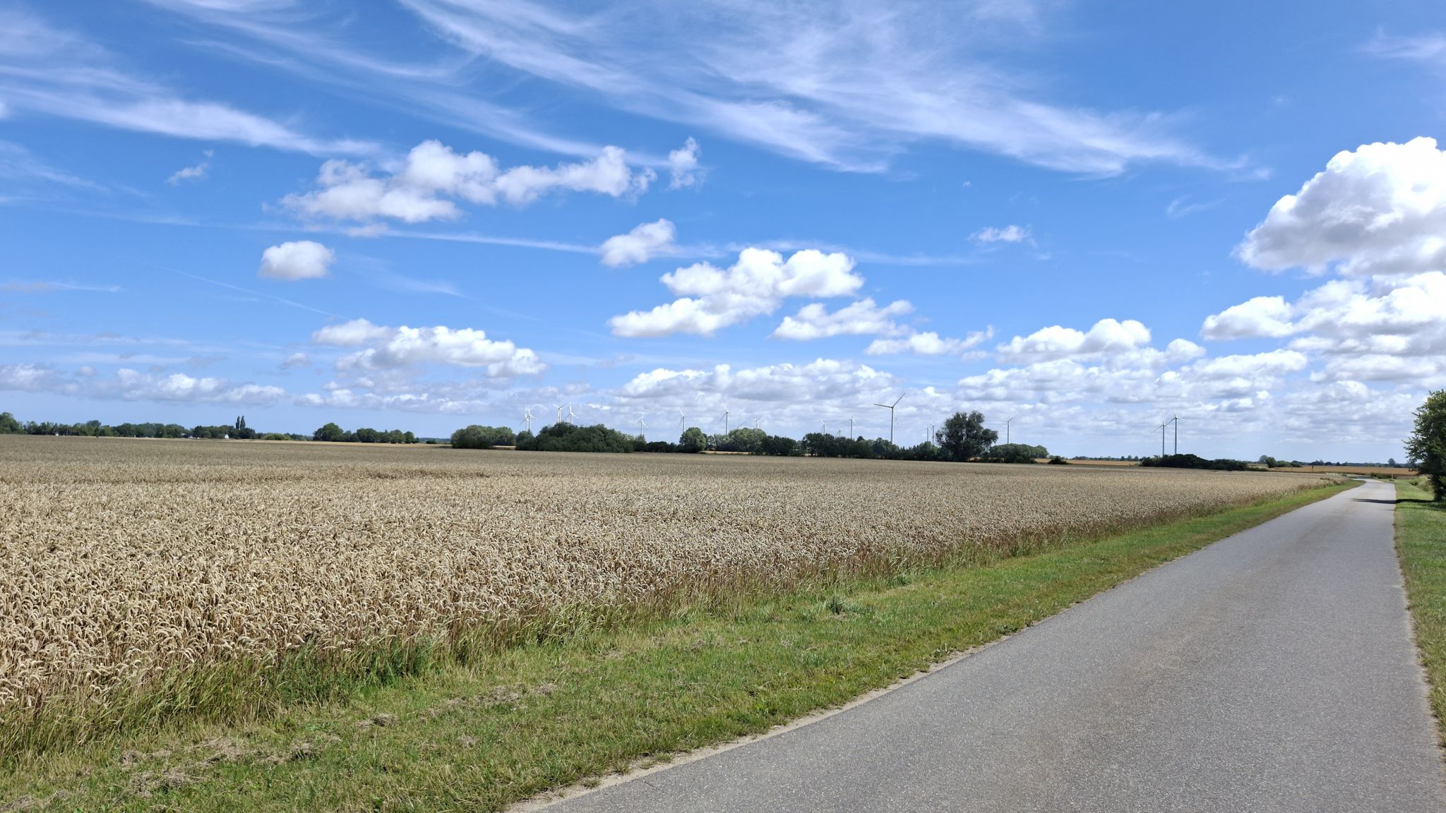 Nähe Wiepkenhagen