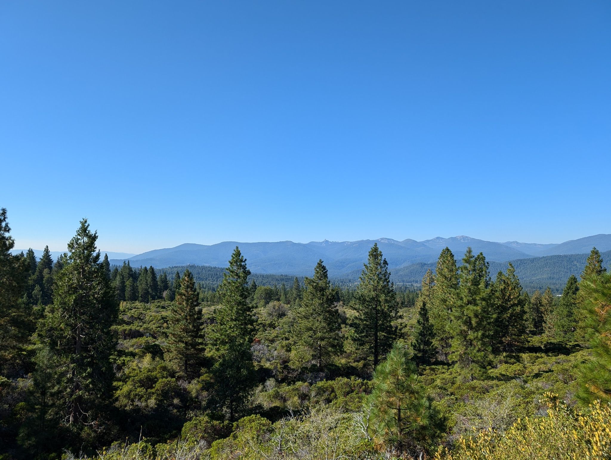 Expansive view of a dense green forest and distant mountains under clear sky. - Mountainbike loop from Gateway Trailhead