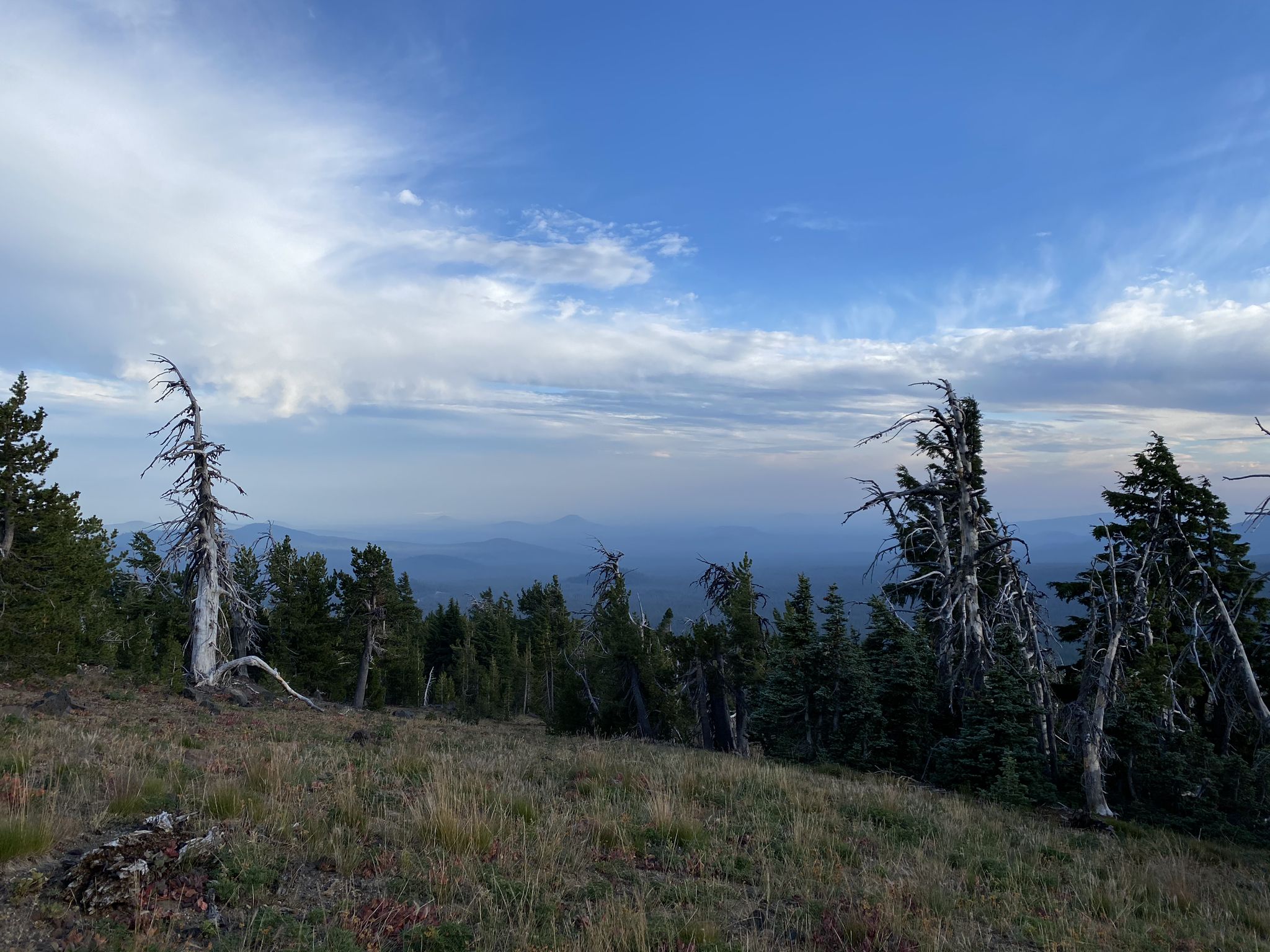Sparse trees on a hill overlooking hazy distant mountains under a cloudy sky. - Tumalo Mountain Trail