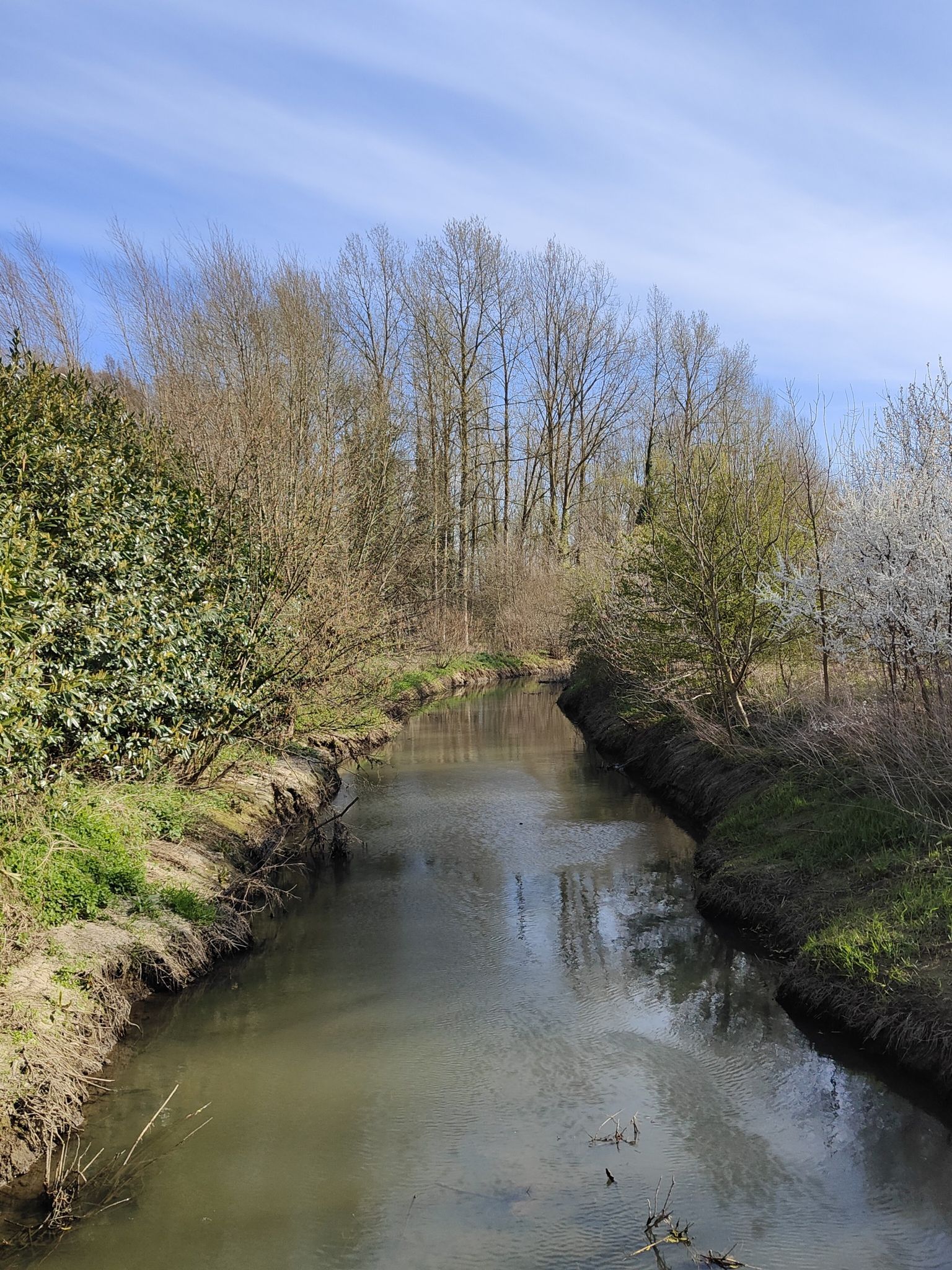 De Velpe