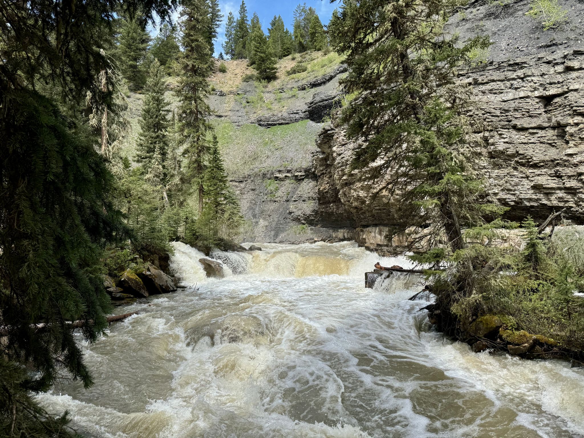 Rushing river with small waterfalls flowing through a forested canyon under bright daylight. - Ousel Falls Trail