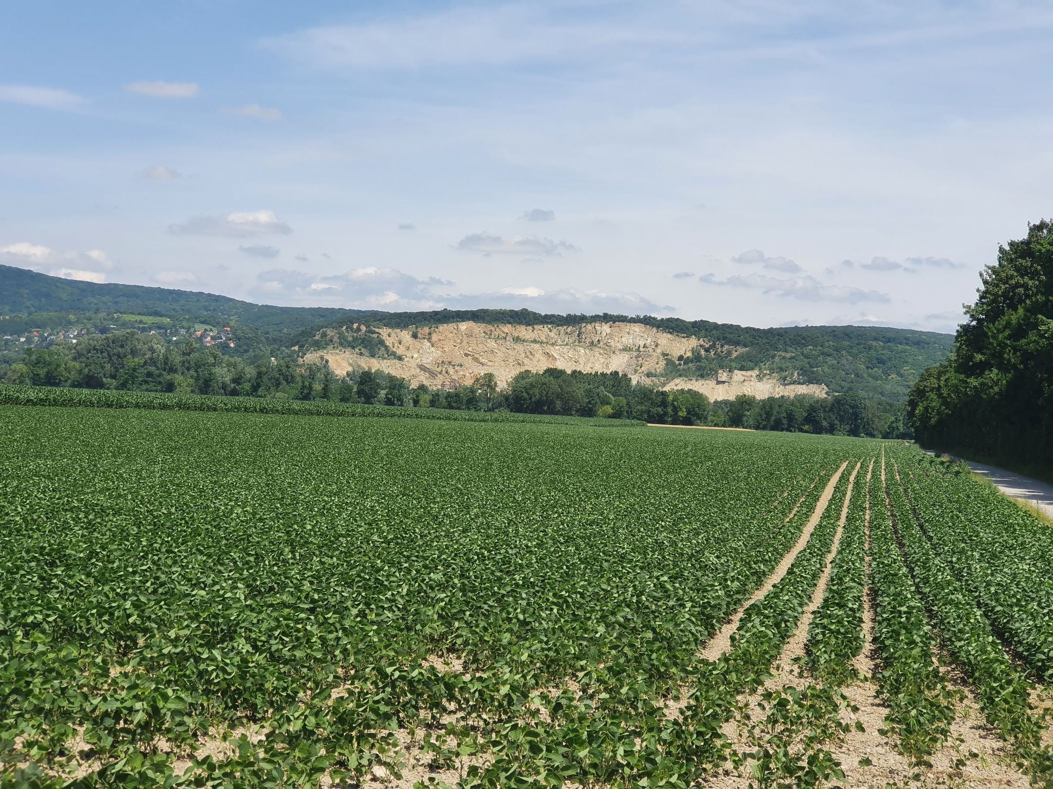 Feldweg bei Wolfsthal – Blick auf die Burg Hainburg Runde von Tôňava ...