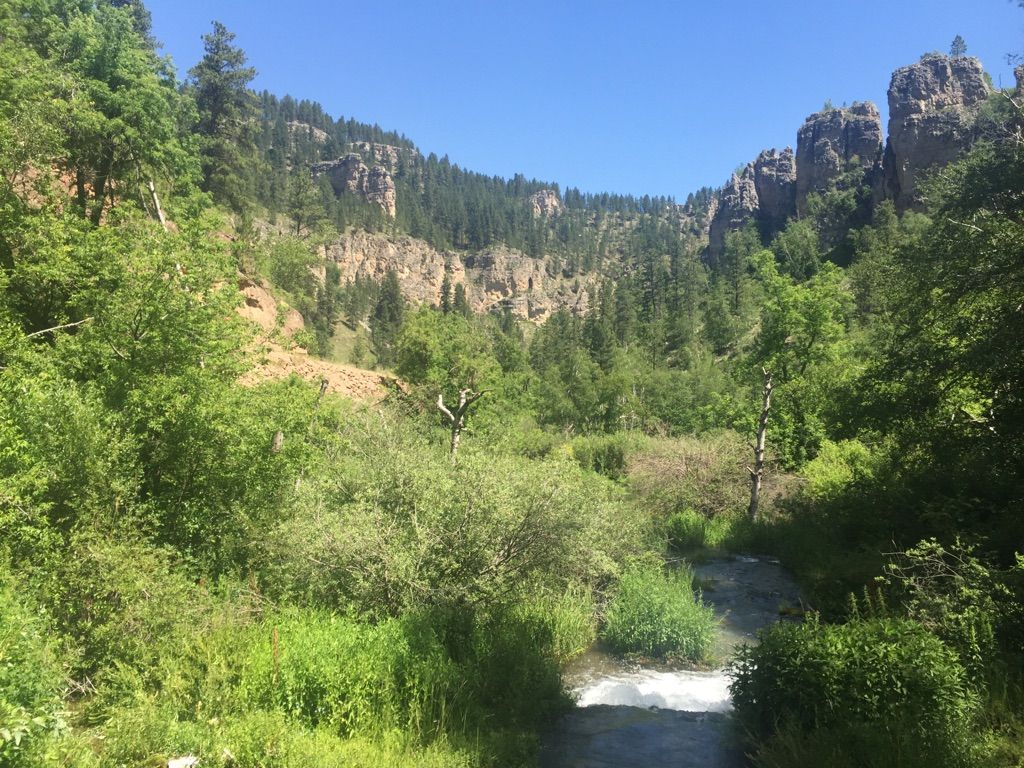 A river flows through a lush valley with dense forests and rocky cliffs under a clear sky. - View of Roughlock Falls loop from Roughlock Falls