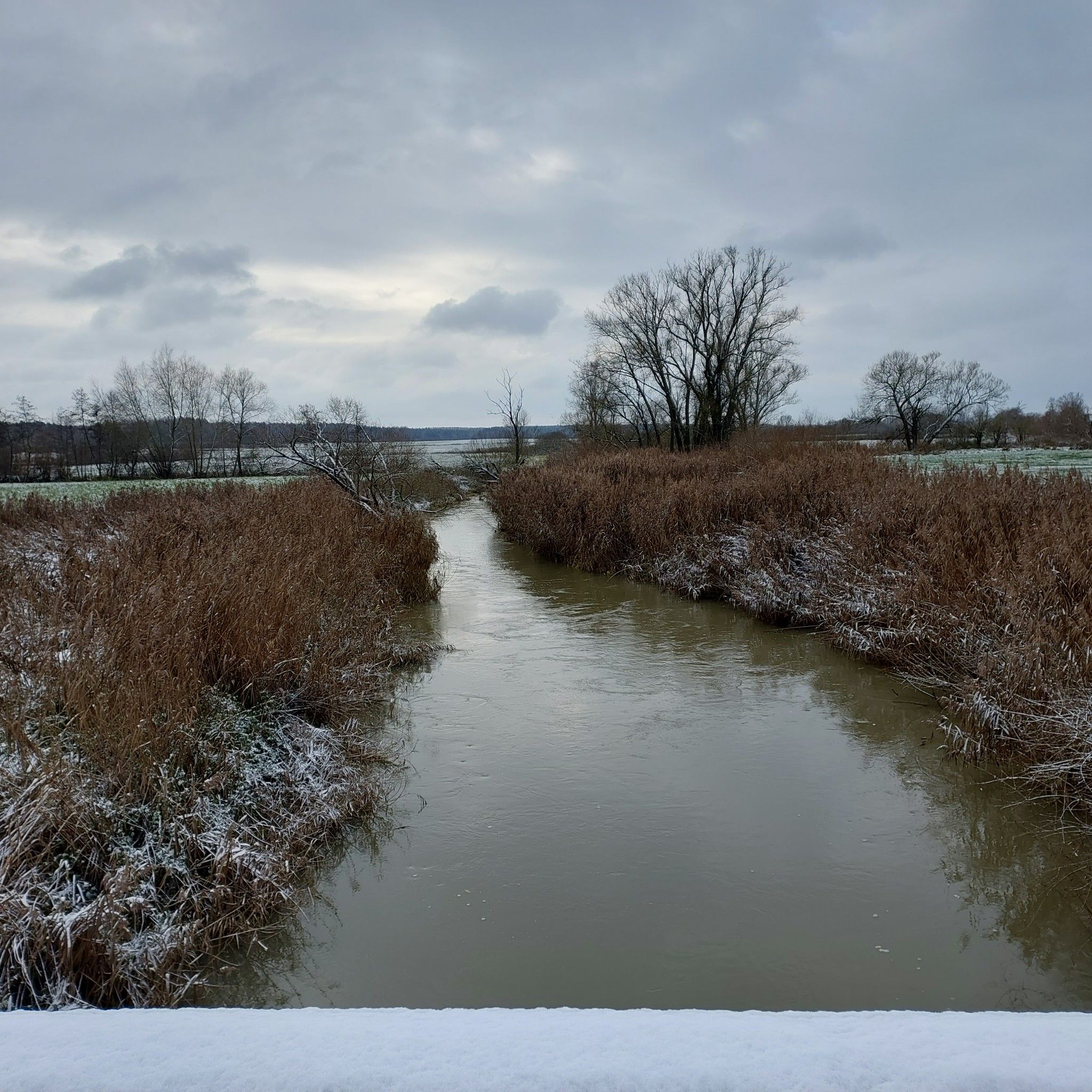 die Aisch