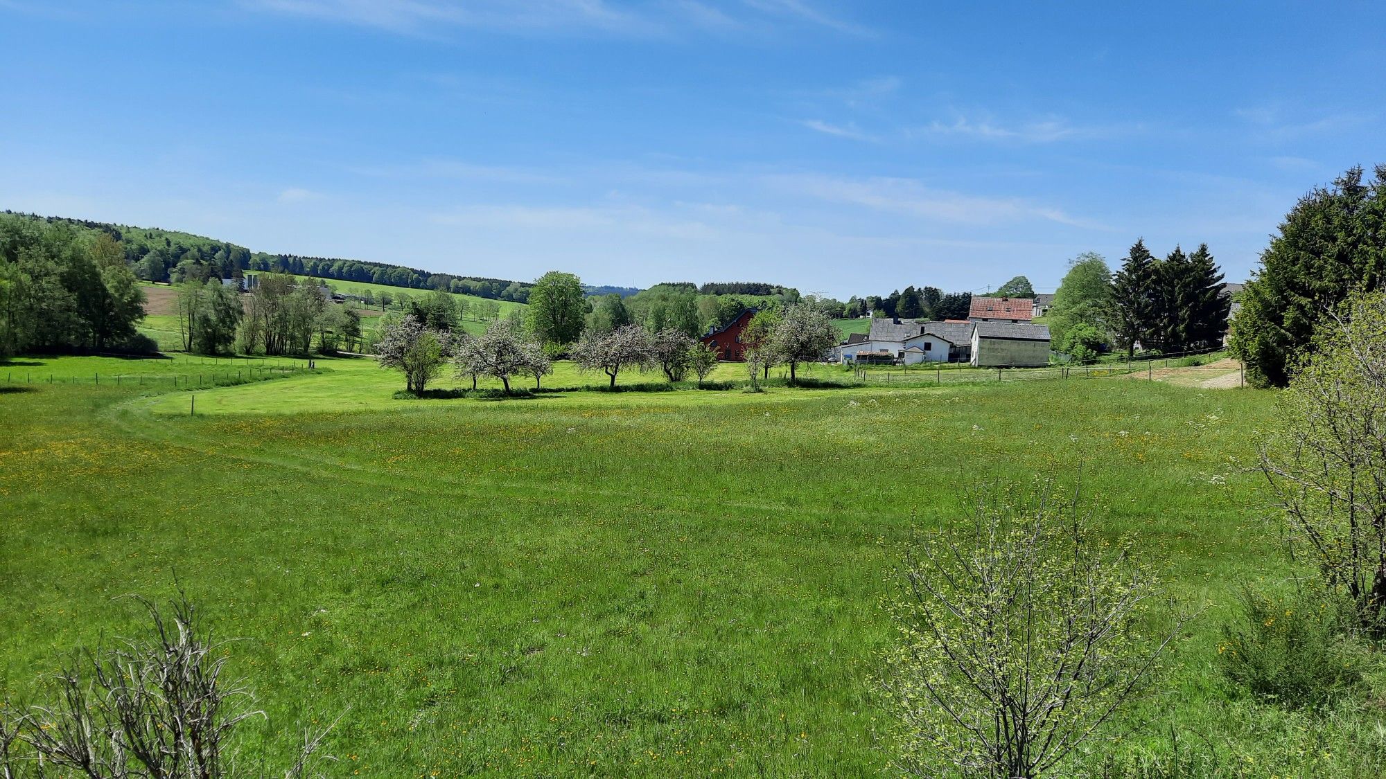 Hunsrücklandschaft bei Thiergarten