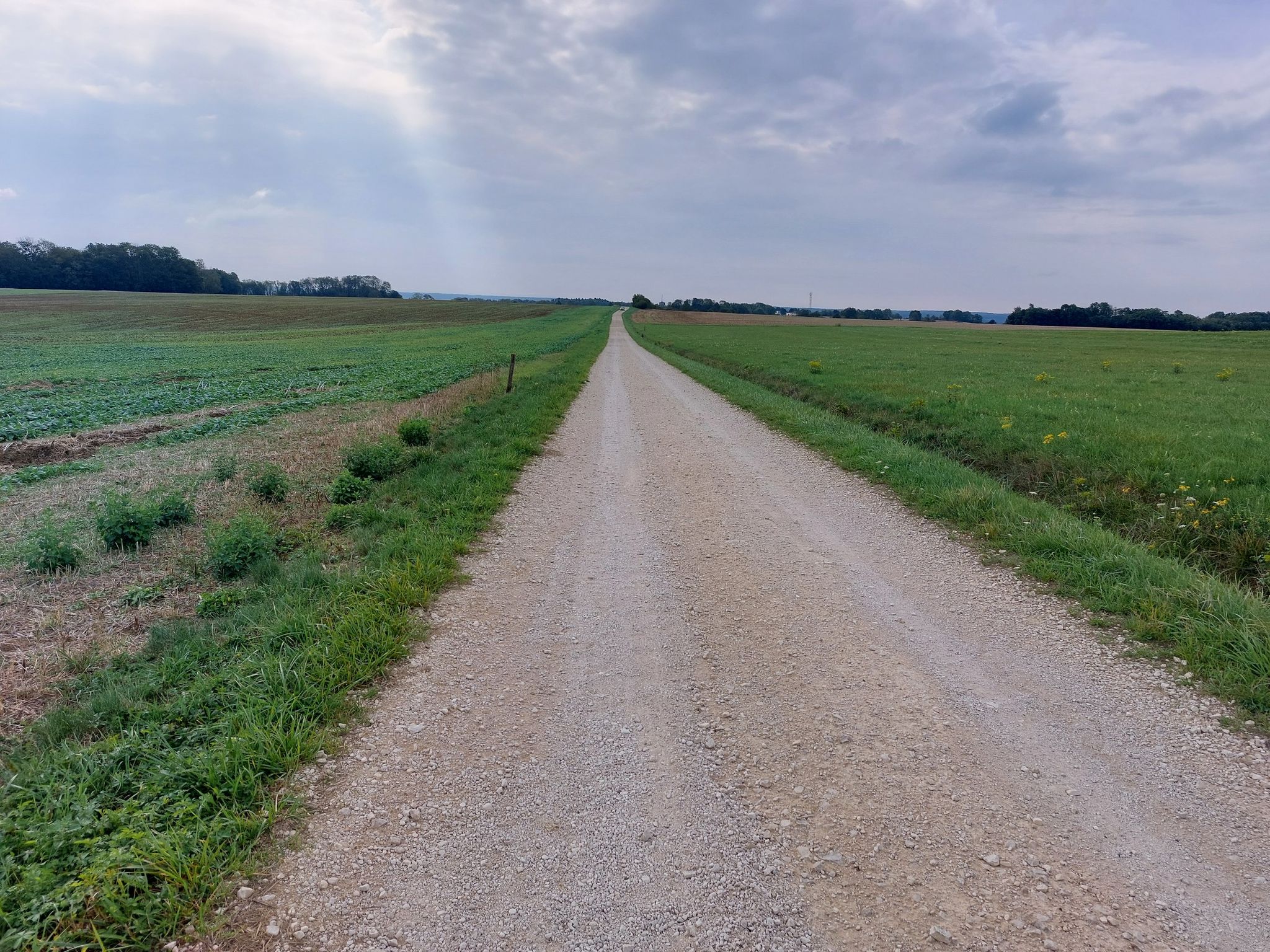 Gravelpad. Door de vele steentjes is de weg glibberig. Onaangenaam fietsen.
