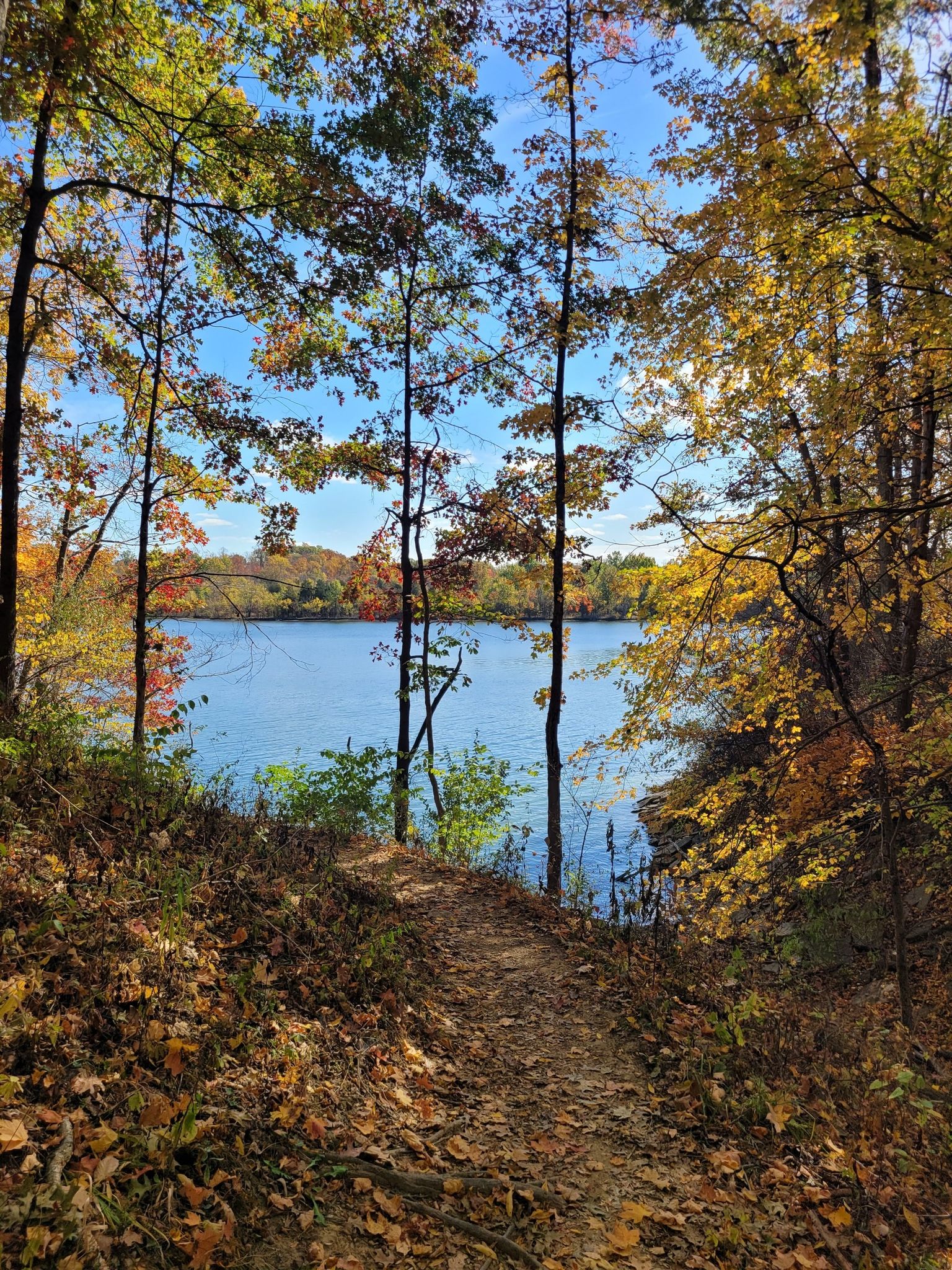 Path leading to a bright blue lake framed by vibrant autumn trees. - Perimeter Trail