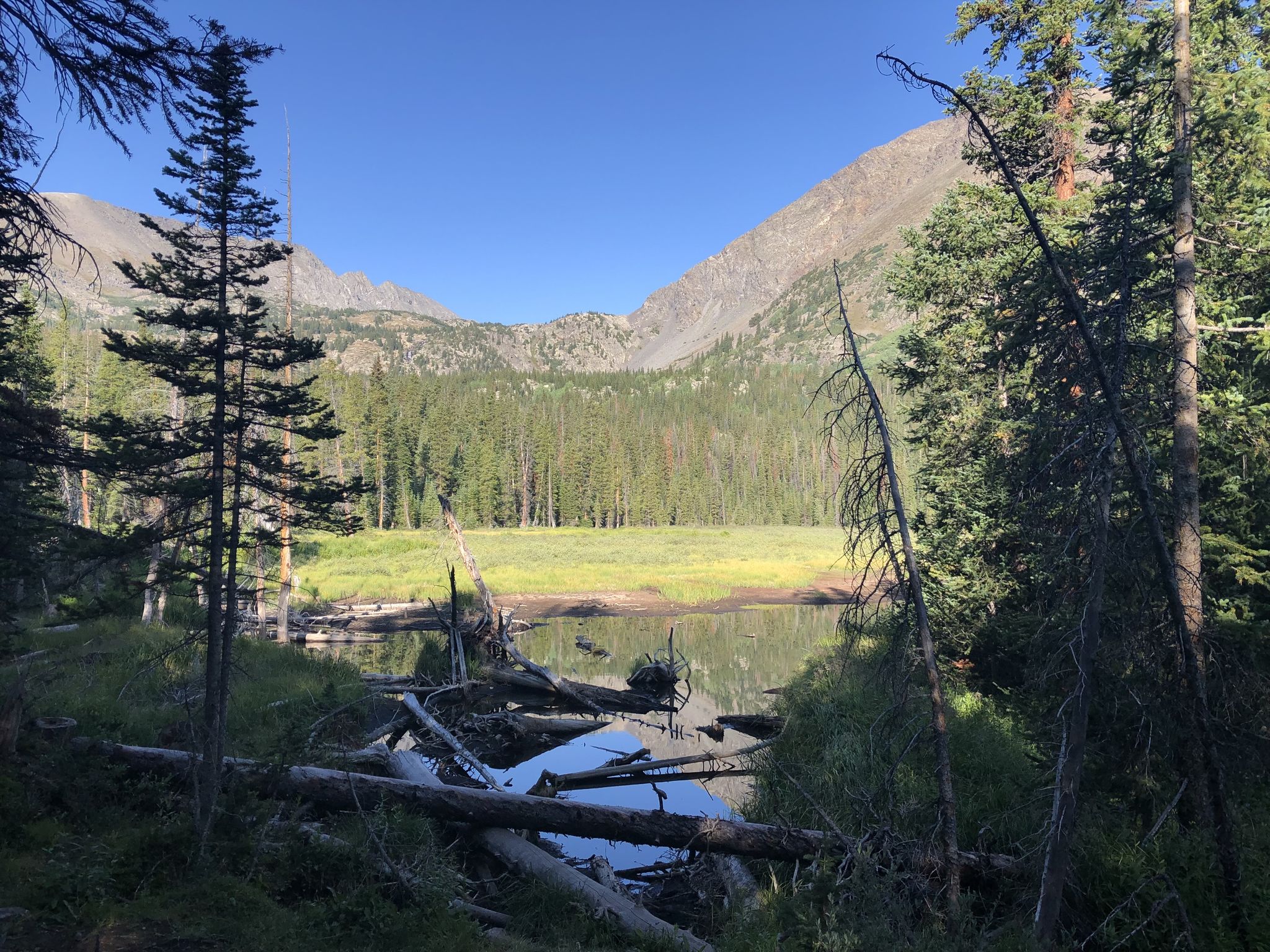 Sunny lake with fallen logs, surrounded by dense forest and mountains. - Spruce Creek Trail to Mohawk Lakes Trail