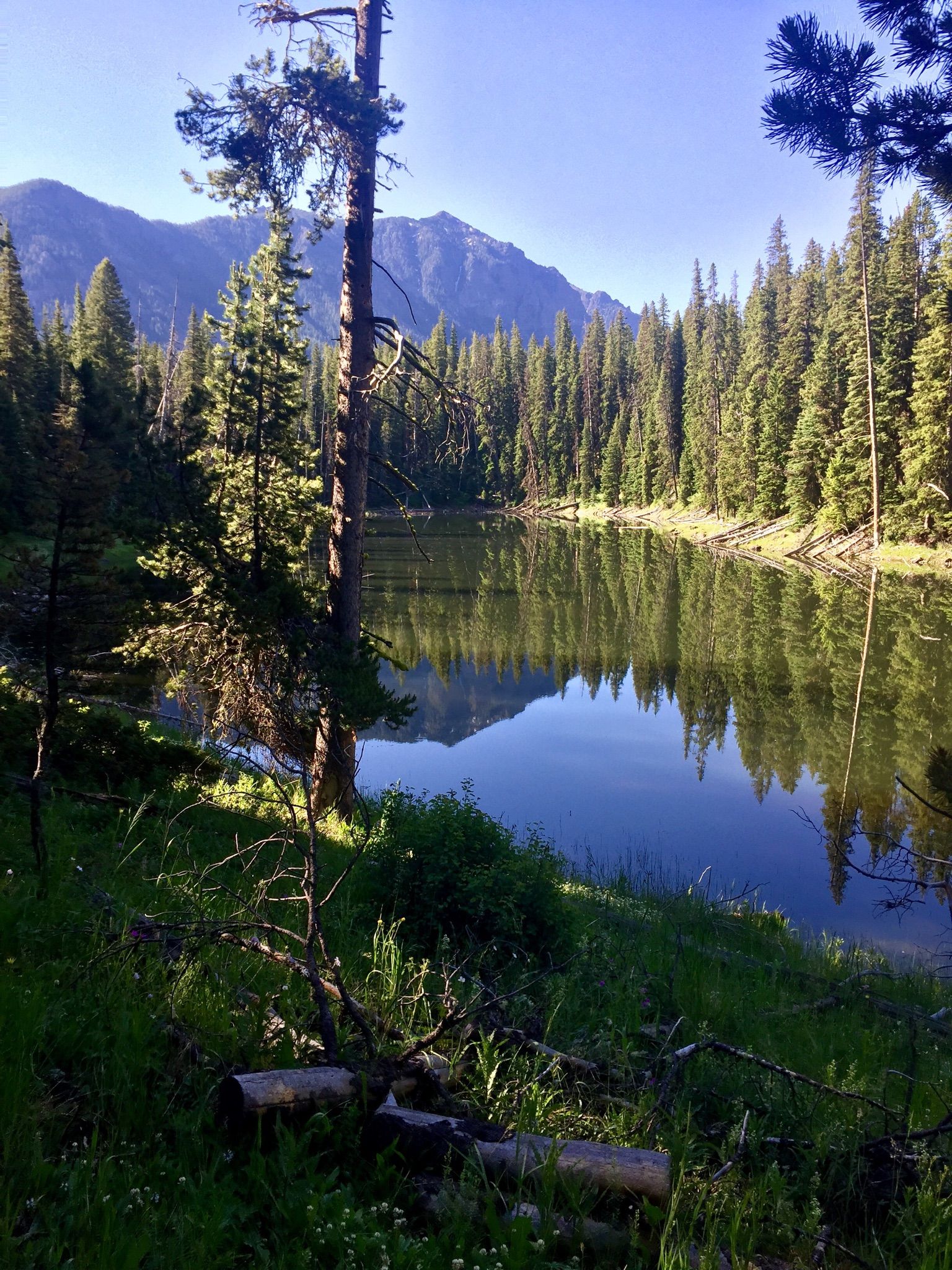 Calm lake reflecting mountains and forest under bright daylight. - Westshore Trail #431