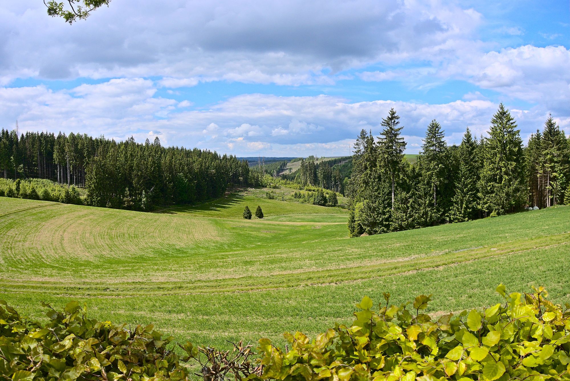 Ausblick entlang des Rennsteigs