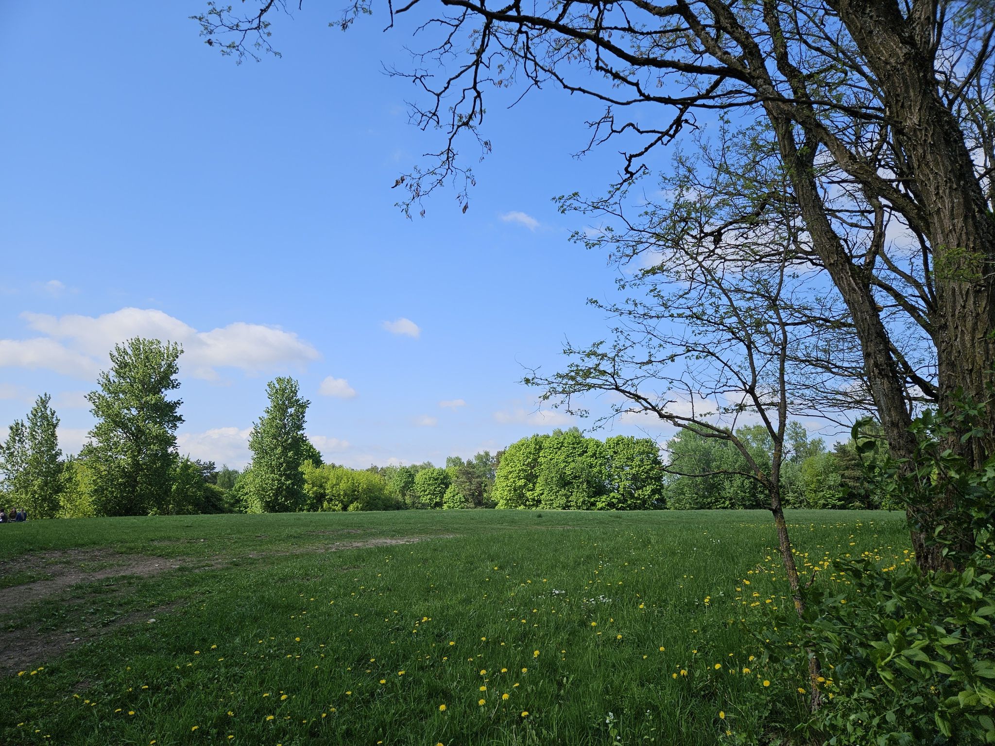 Stalo Kalnas (165 m)