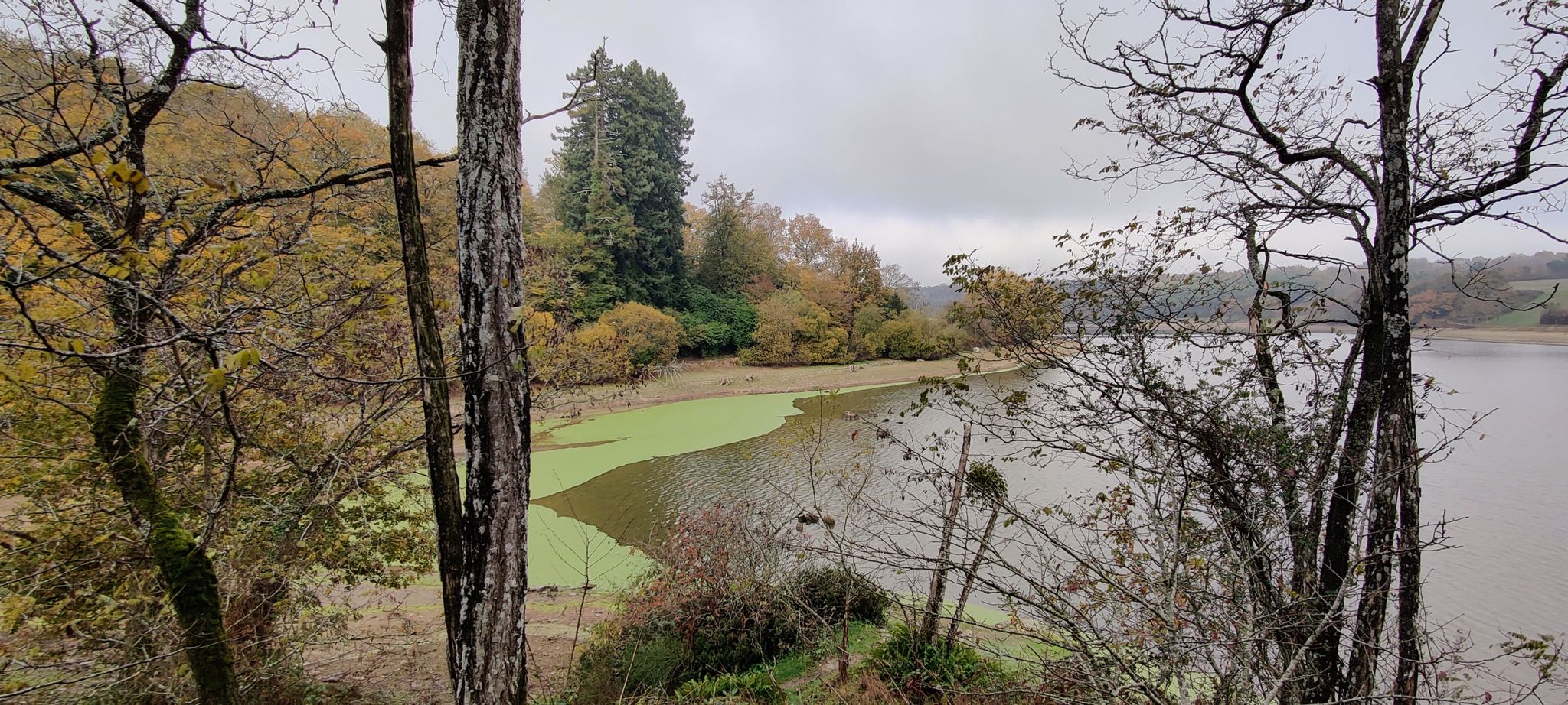 La rive sud du lac du Jaunay