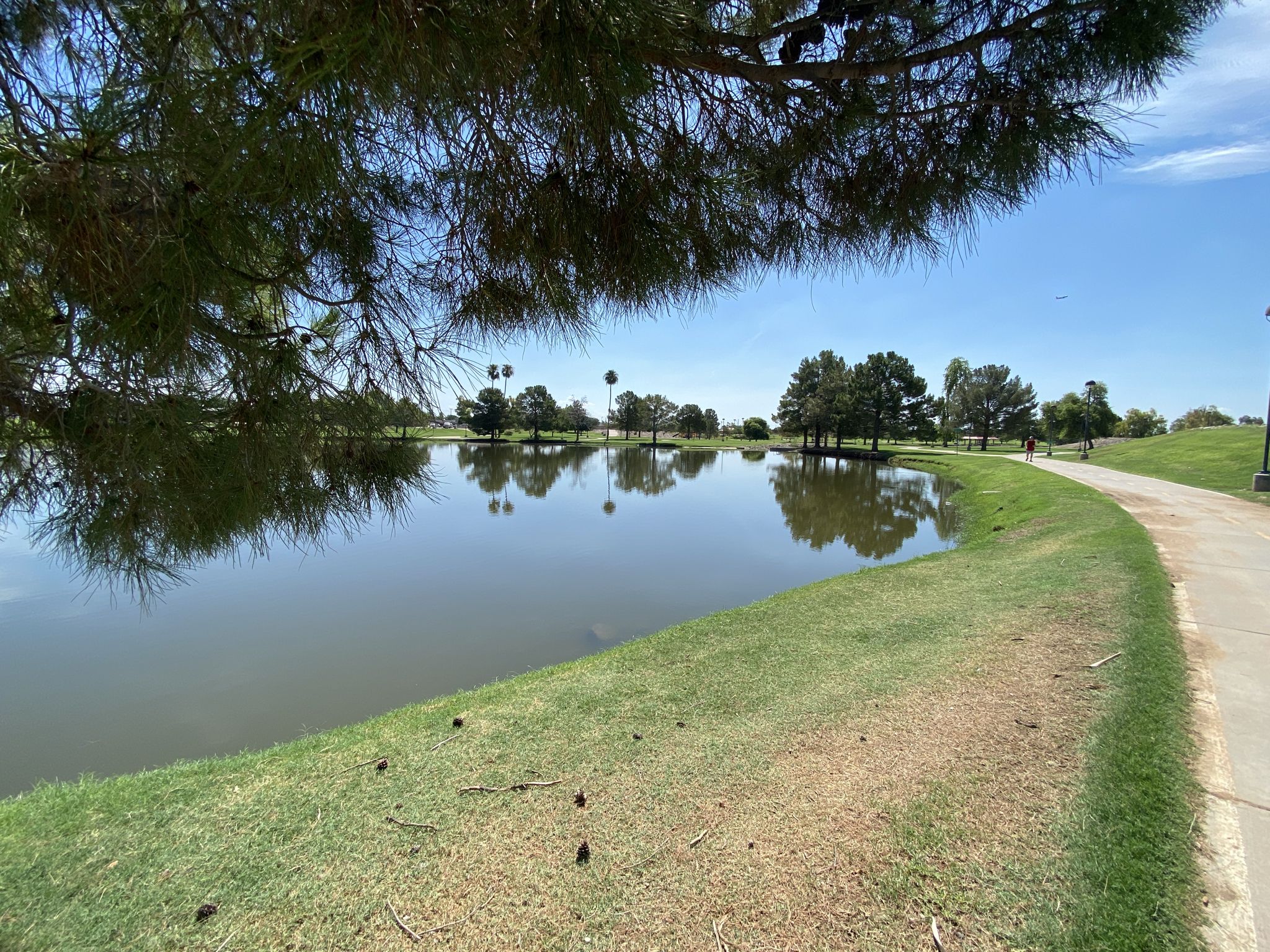 A calm lake reflecting trees, framed by branches, on a sunny day. - Indian Bend Wash Greenbelt loop from Desert Botanical Garden Community Garden