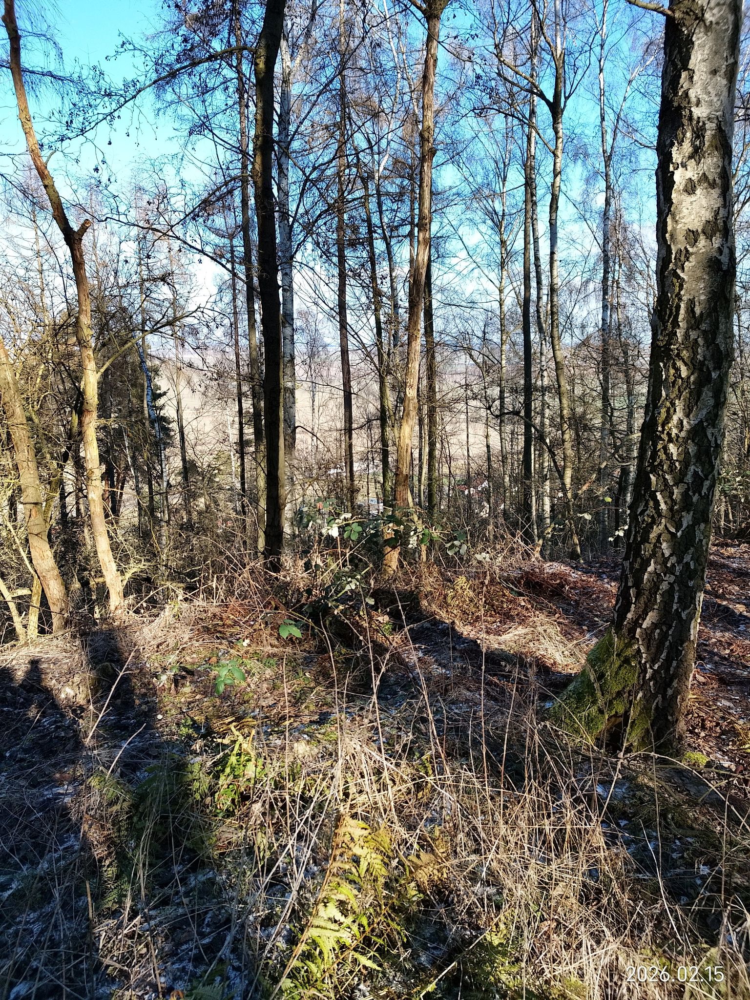 Seebergen 