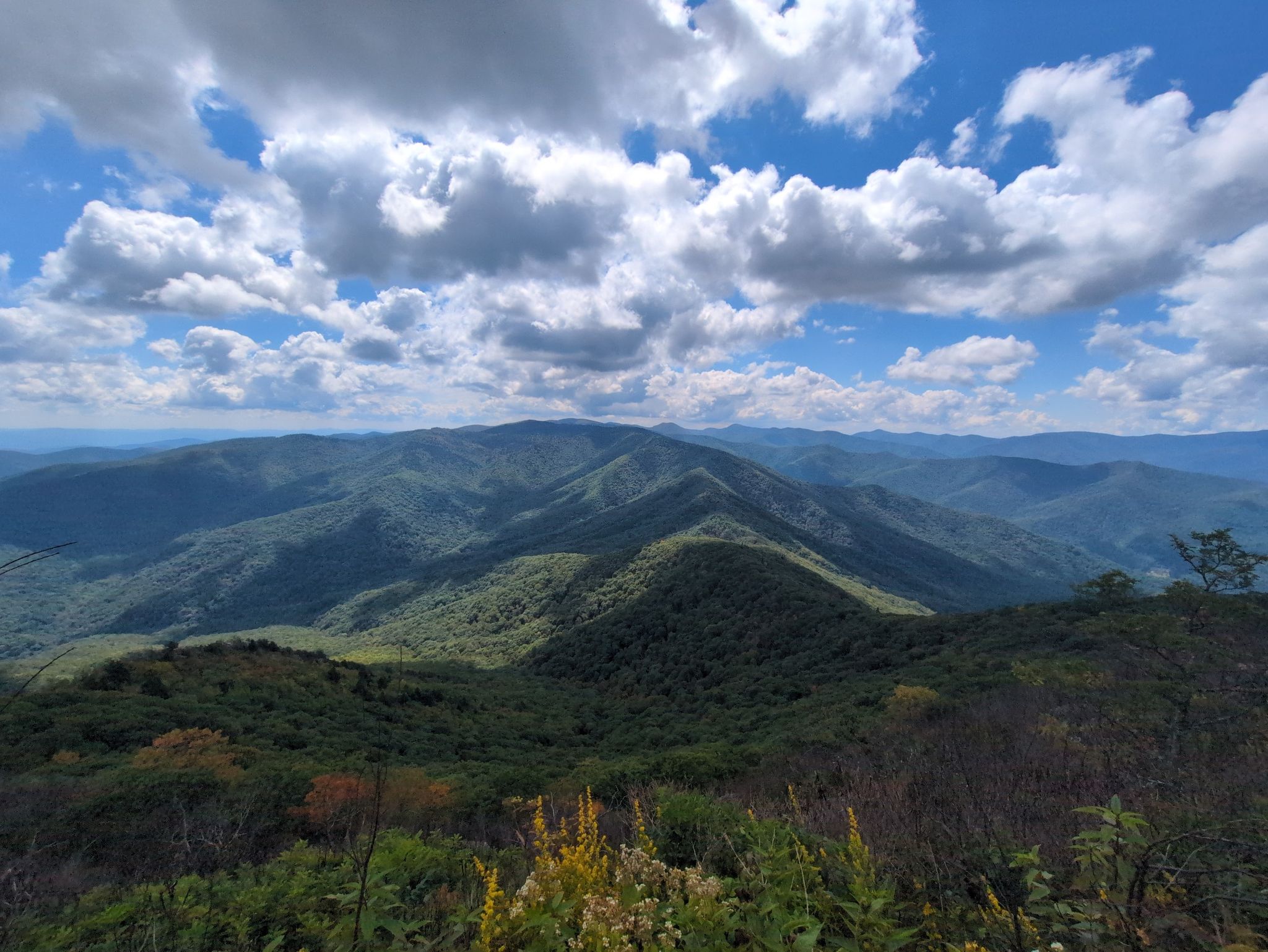 Rolling green mountains under a bright, partly cloudy sky. - Cold Mountain via Art Loeb Trail