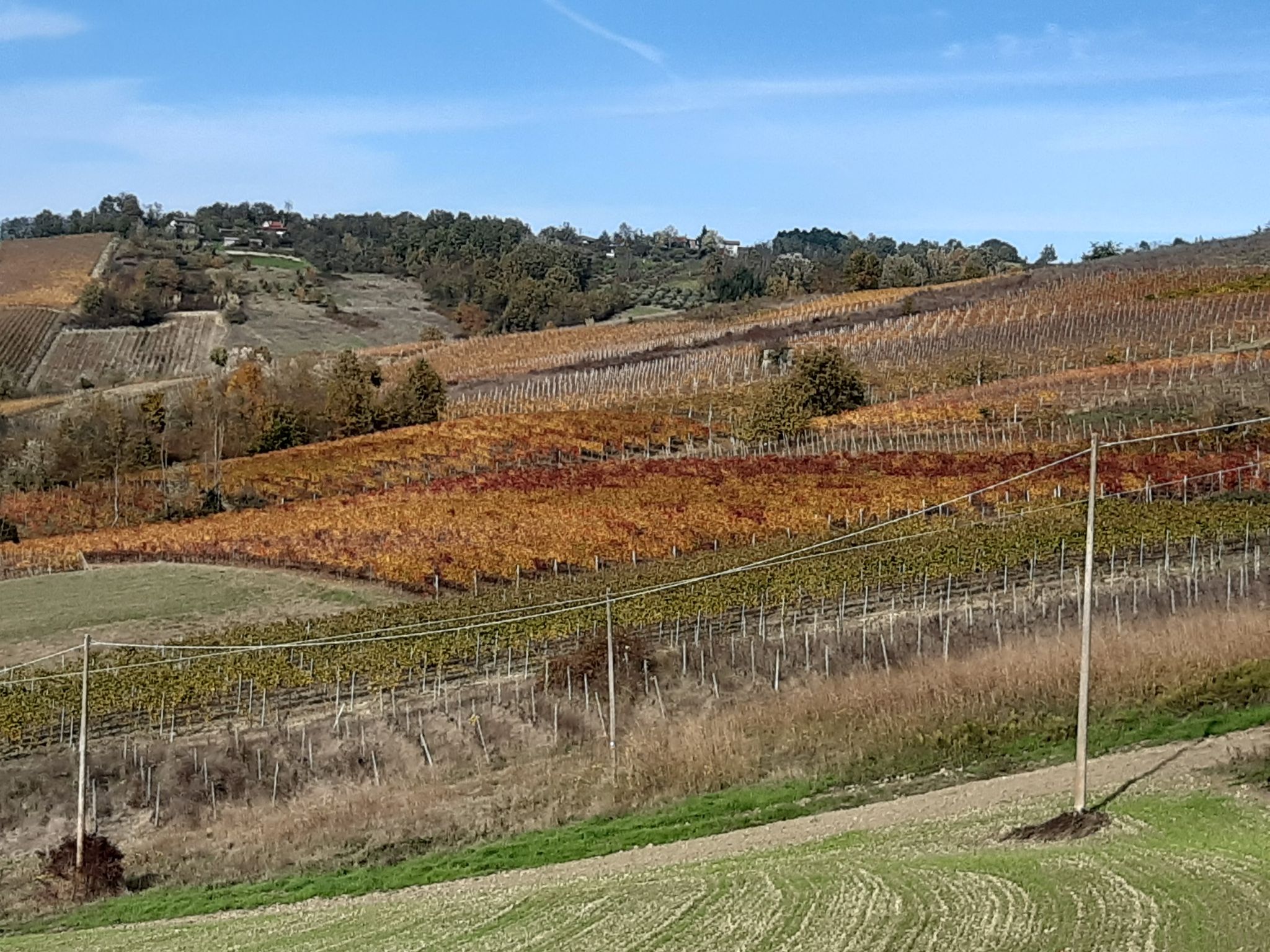 Le colline dipinte dopo Rivalta Bormida 