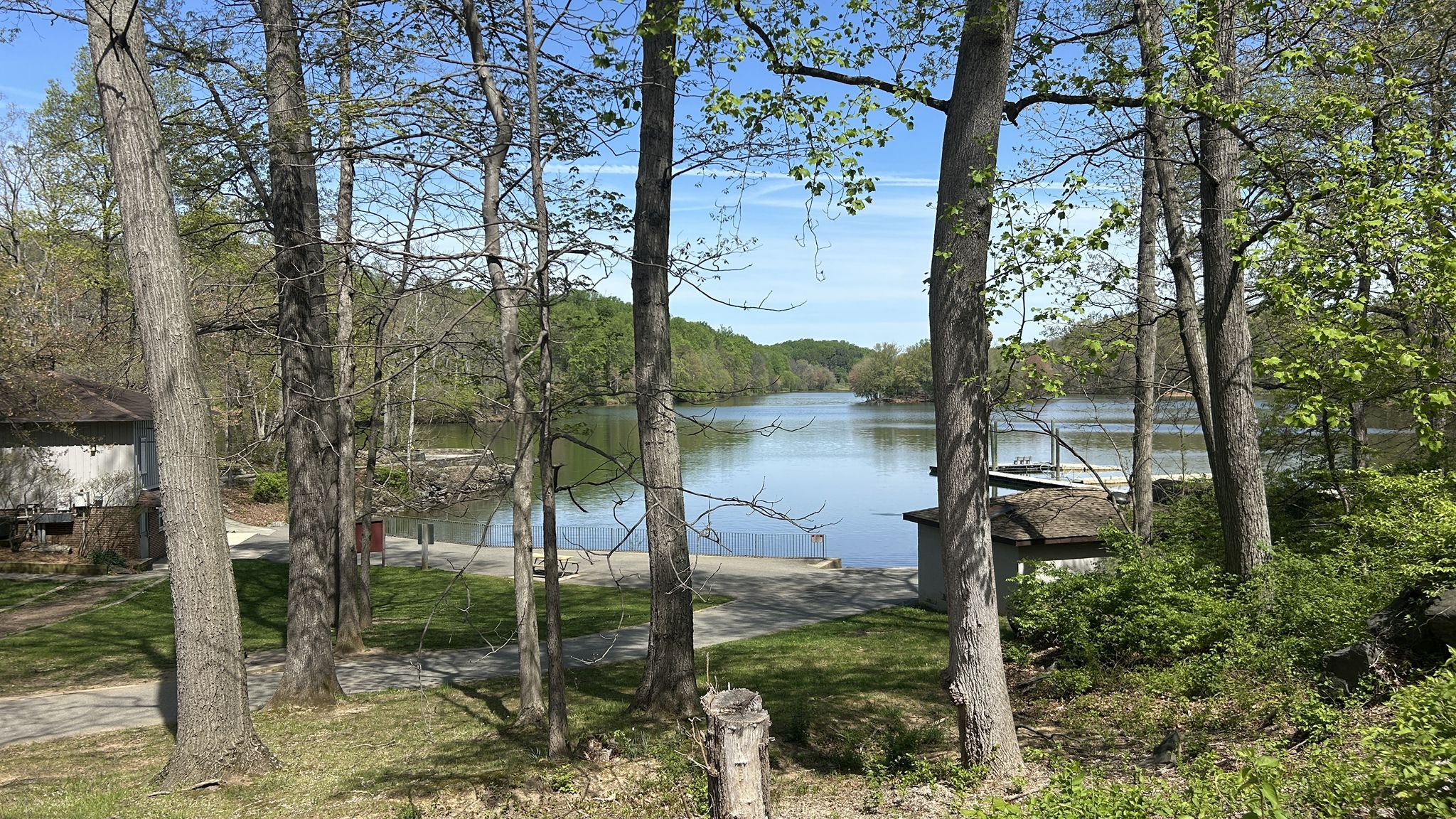 A serene lake viewed through tall trees on a bright, sunny day. - Lake Needwood Southeast Shore – Rock Creek Trail loop from Leisure World
