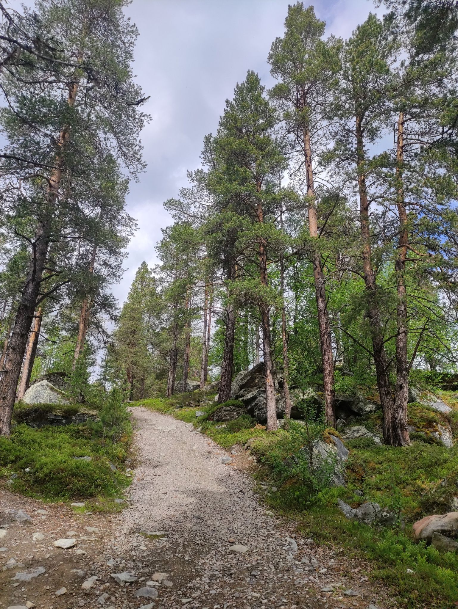 Foto 1