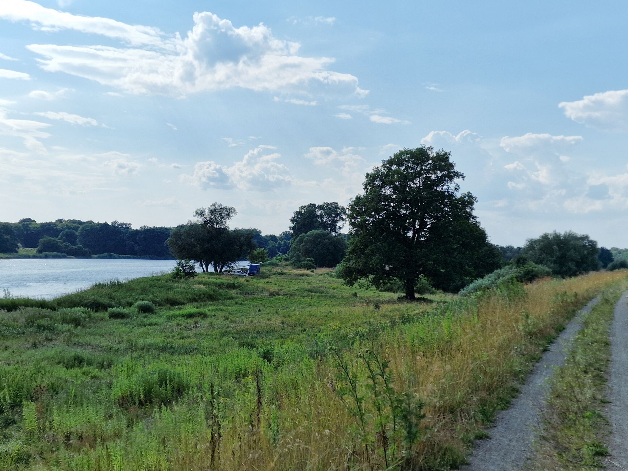 Odra koło Kotowic