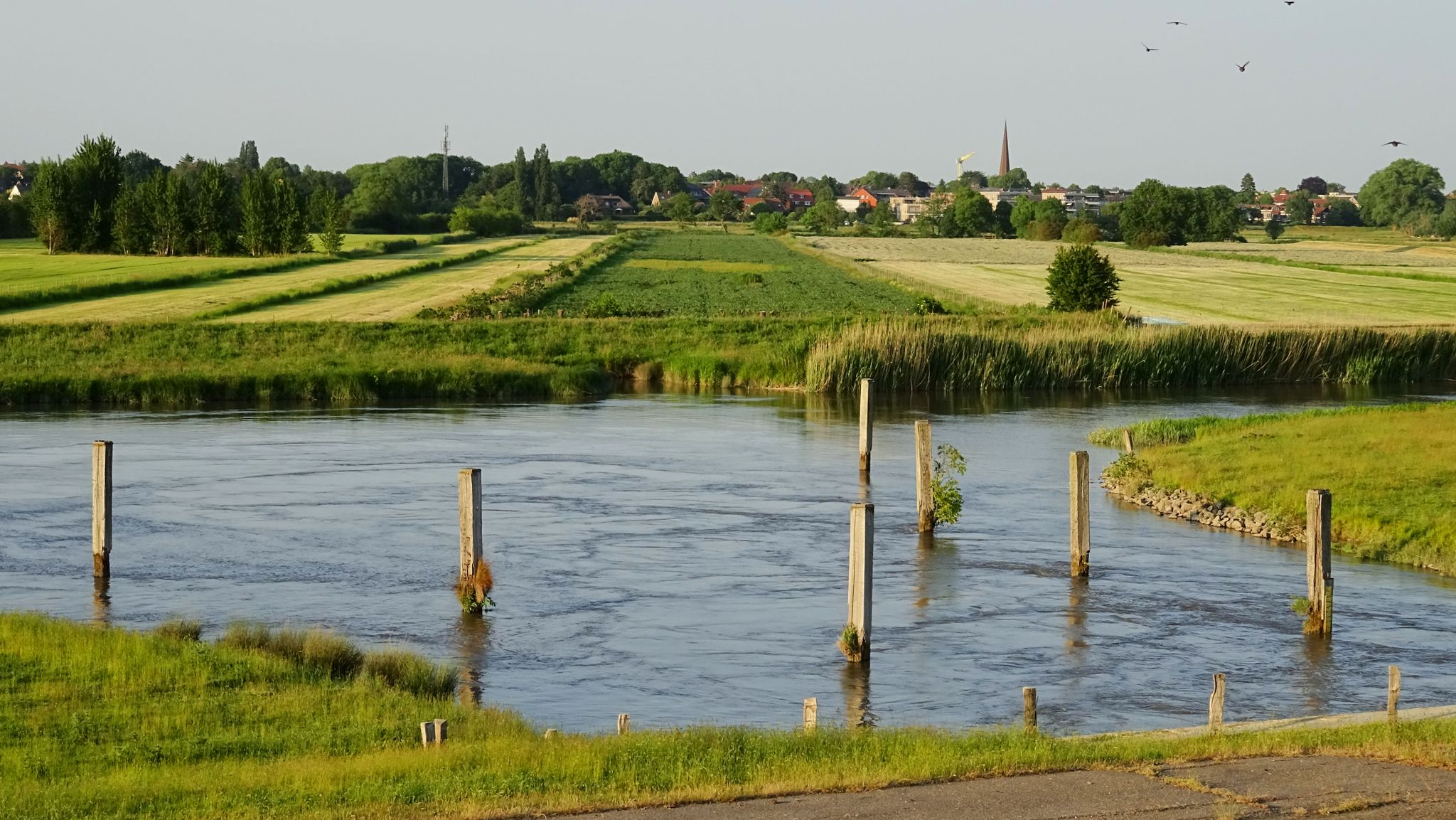 Wedeler Au
