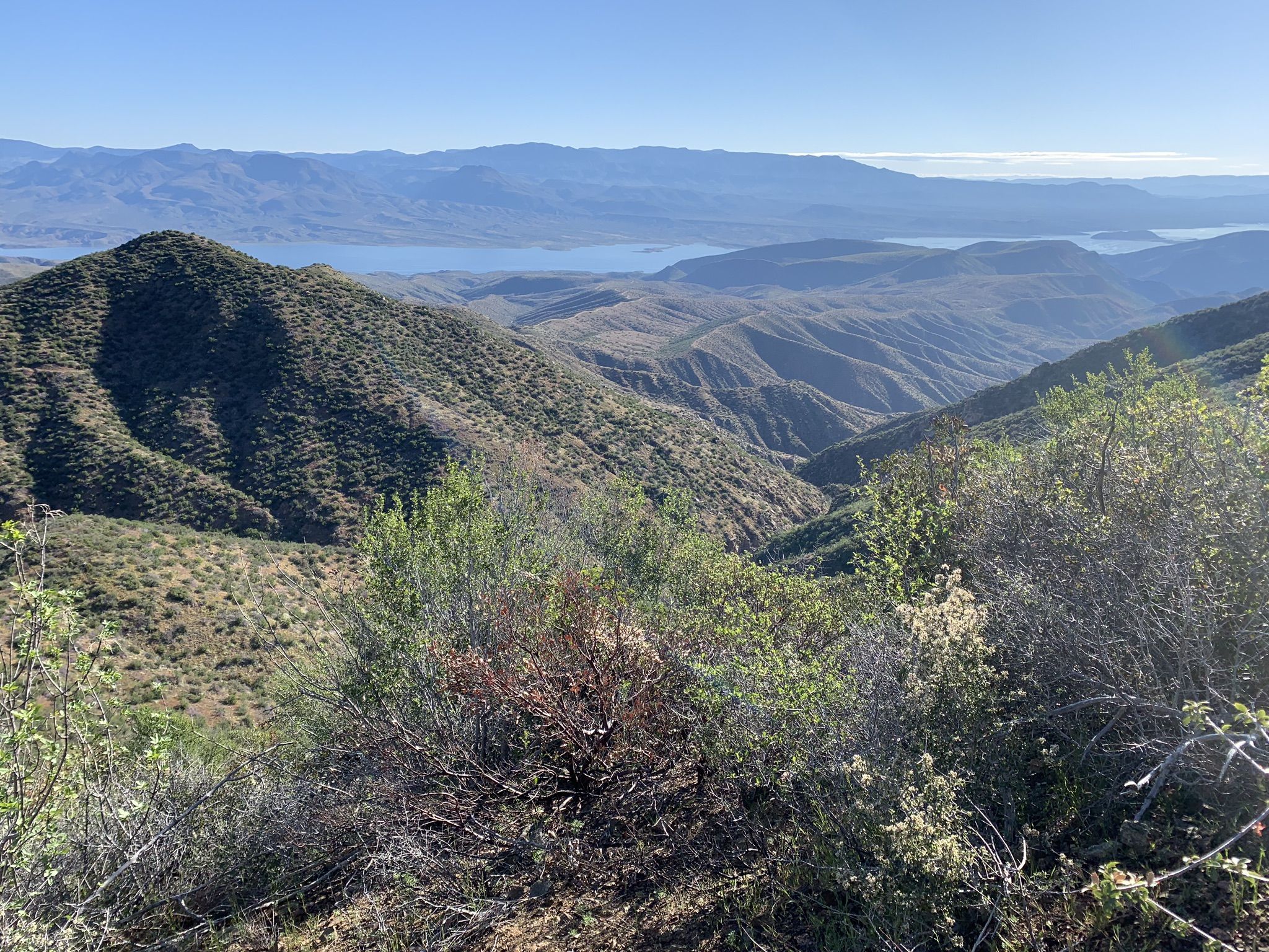 Sunny panoramic view of green mountains and a distant lake. - Browns Peak via Four Peaks Trail #130