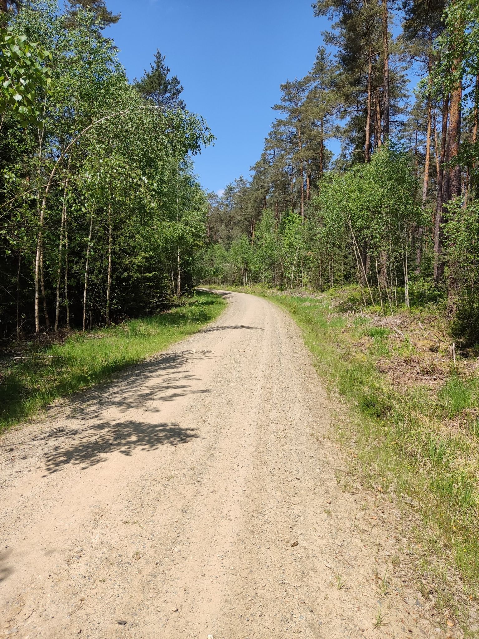 Richtung Schustermooslohe