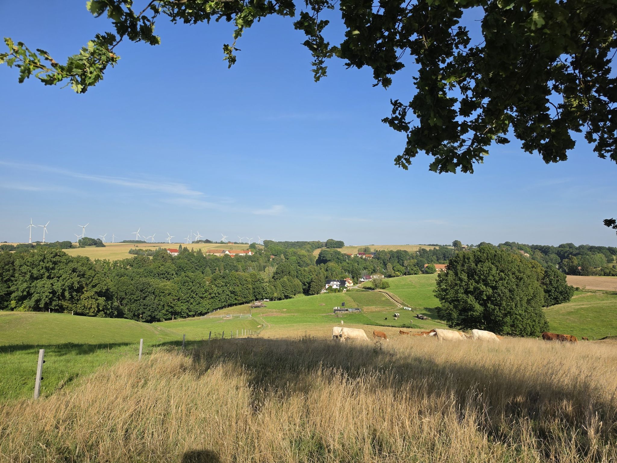 Blick vom Kapellenberg auf Ebersbach