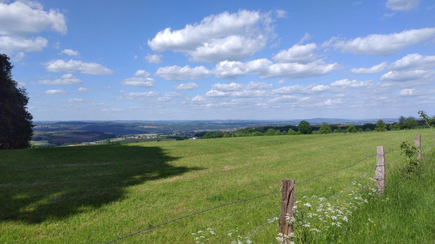 Beulskopf