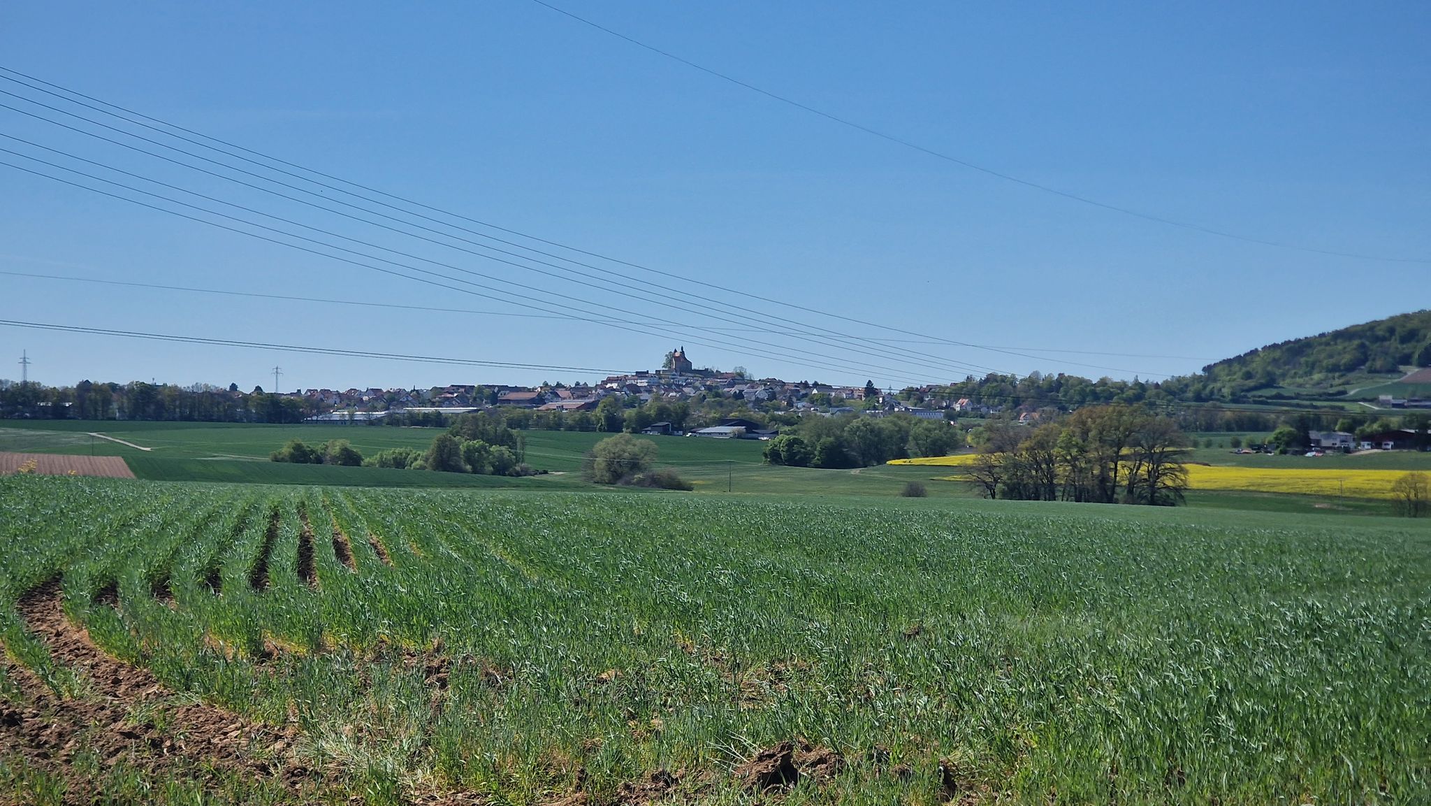 Blick zum Petersberg