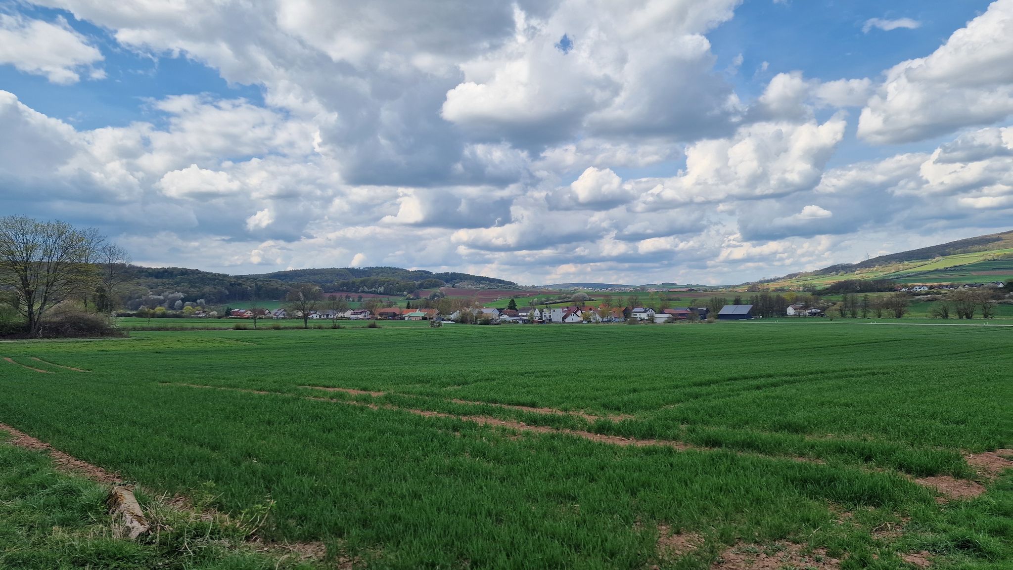 Blick auf Treischfeld