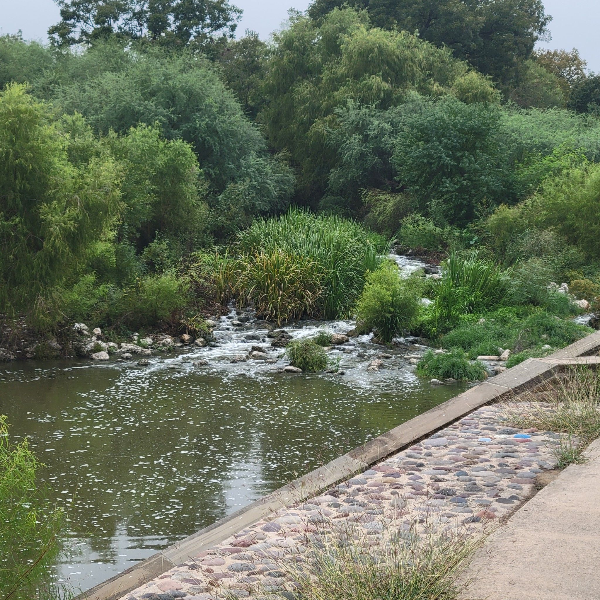 Rushing water in a river with green foliage on banks, stone path. - Historic Mission San José – Mission San Juan Capristrano loop from Saint Frances Cabrini Church