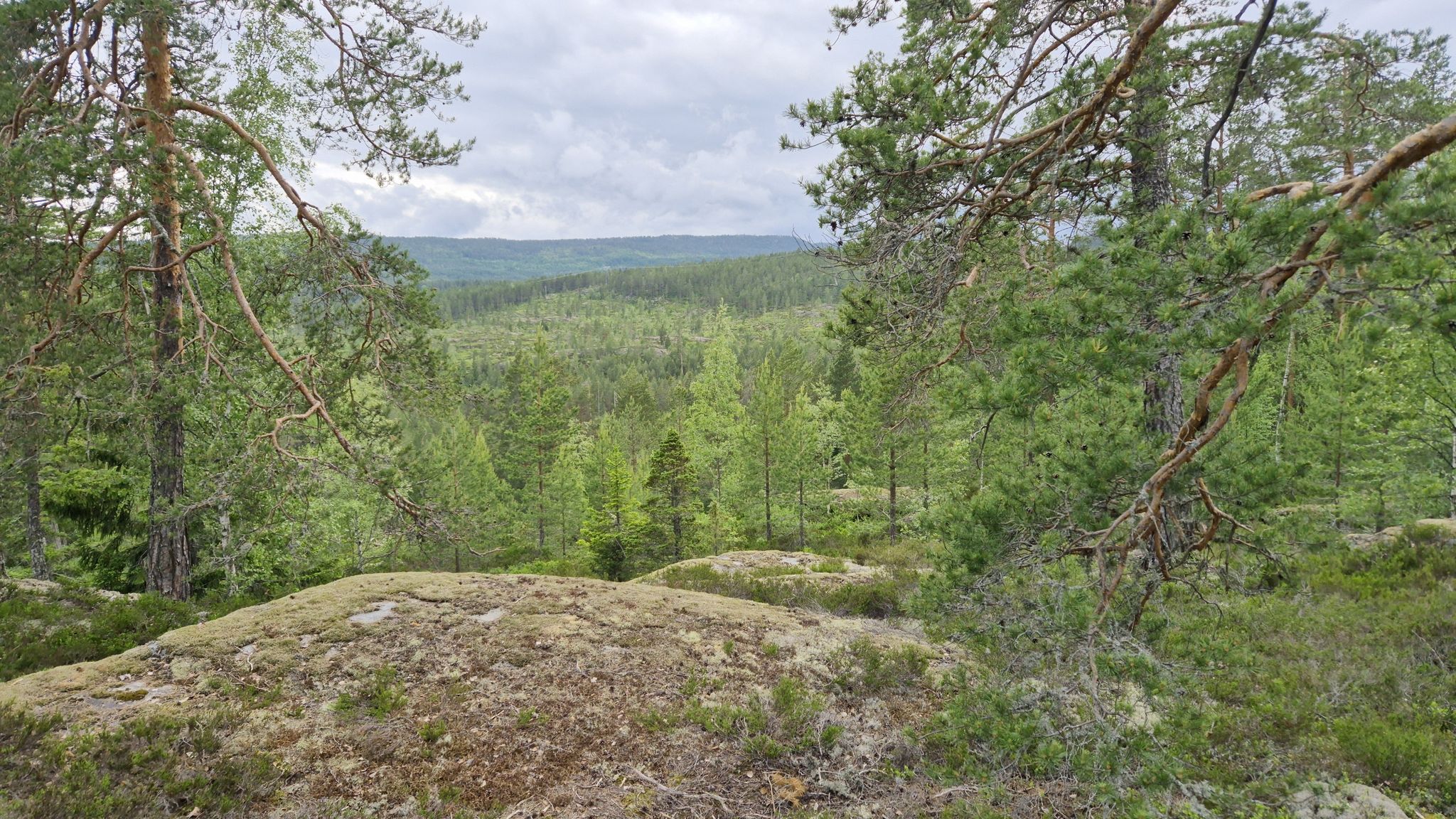 Auch ganz nette Aussicht