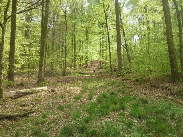 Mama und Papa beim Abstieg