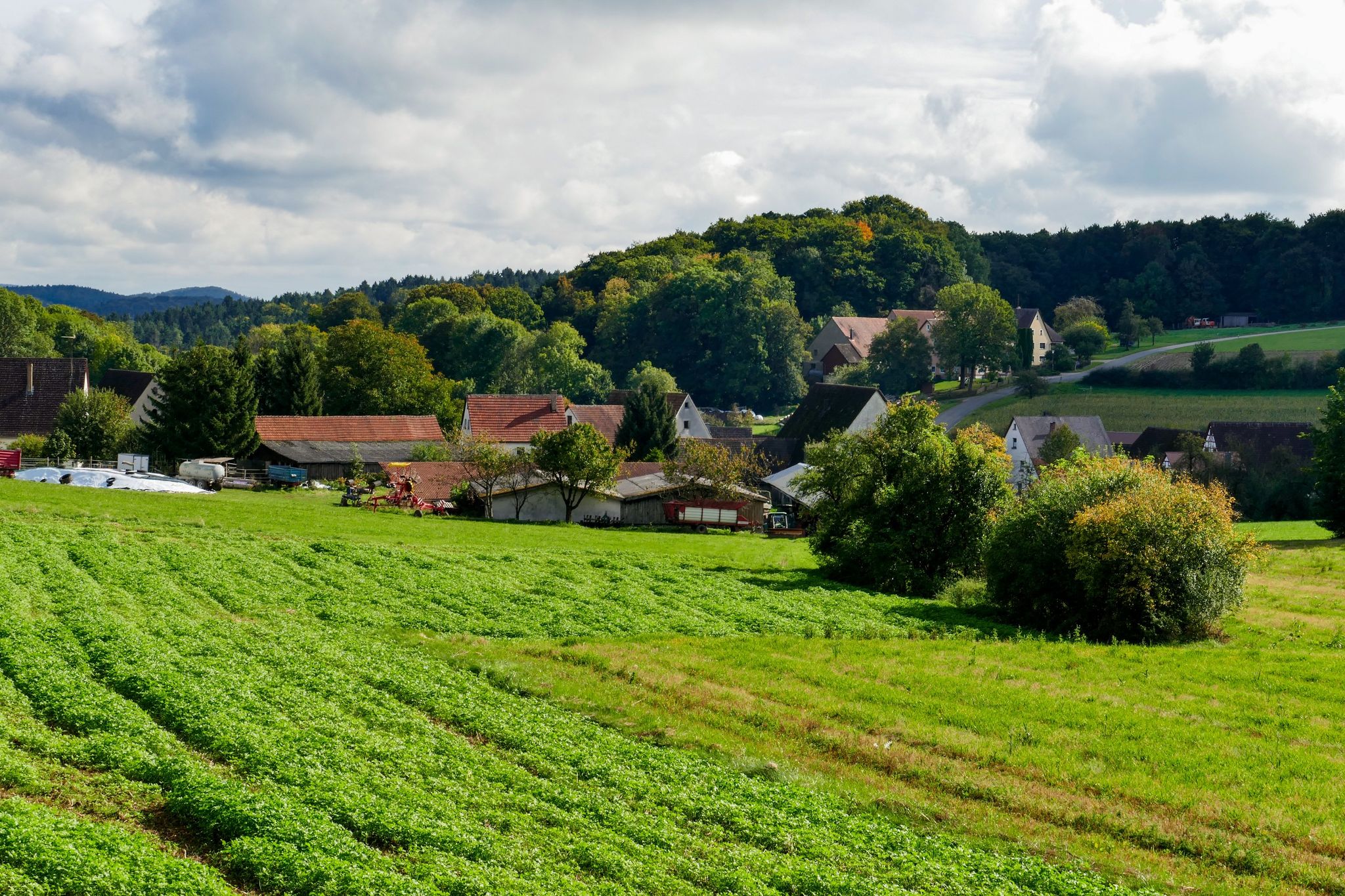 Blick auf Treuf