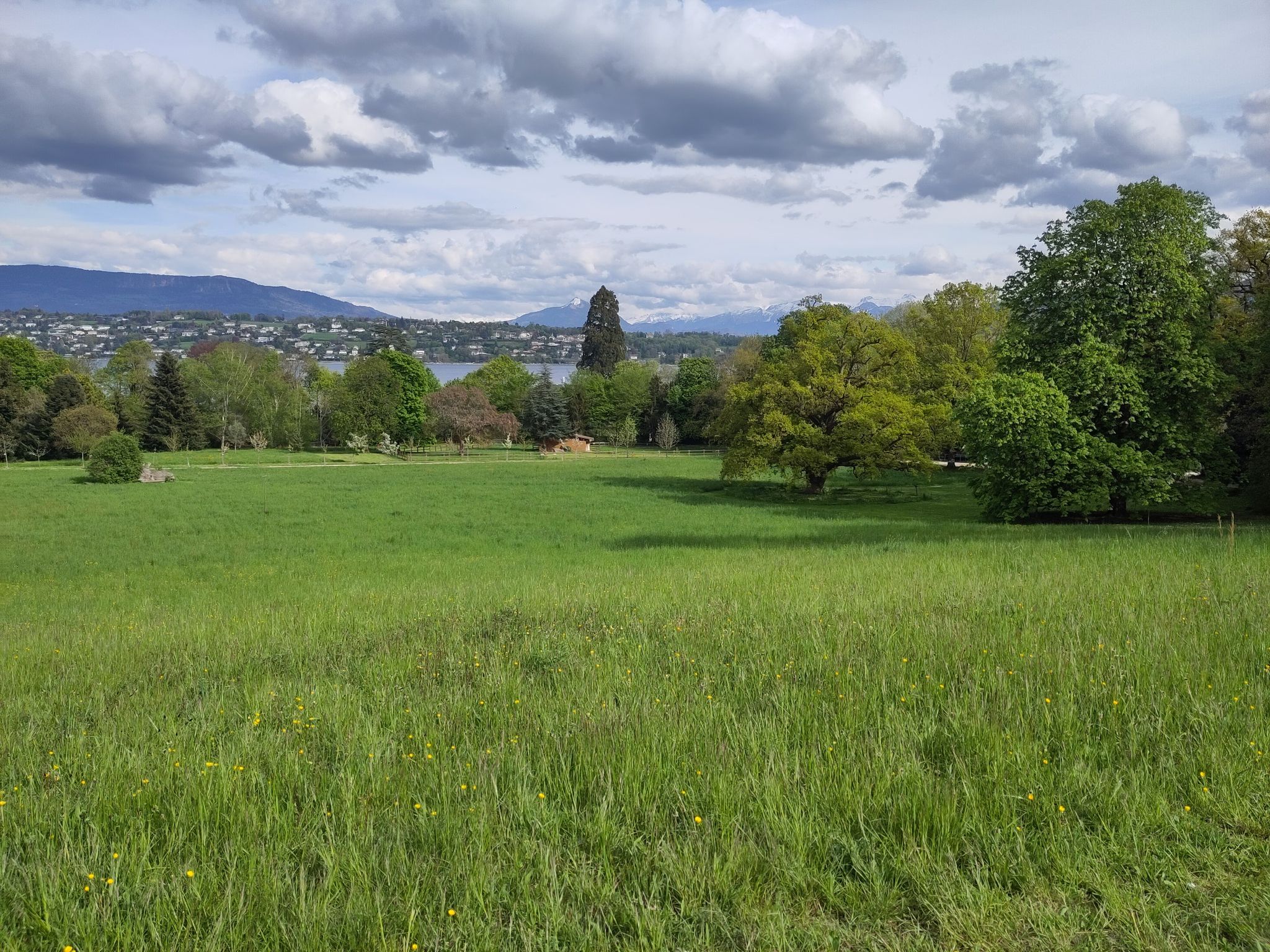 Botanische tuin geneve