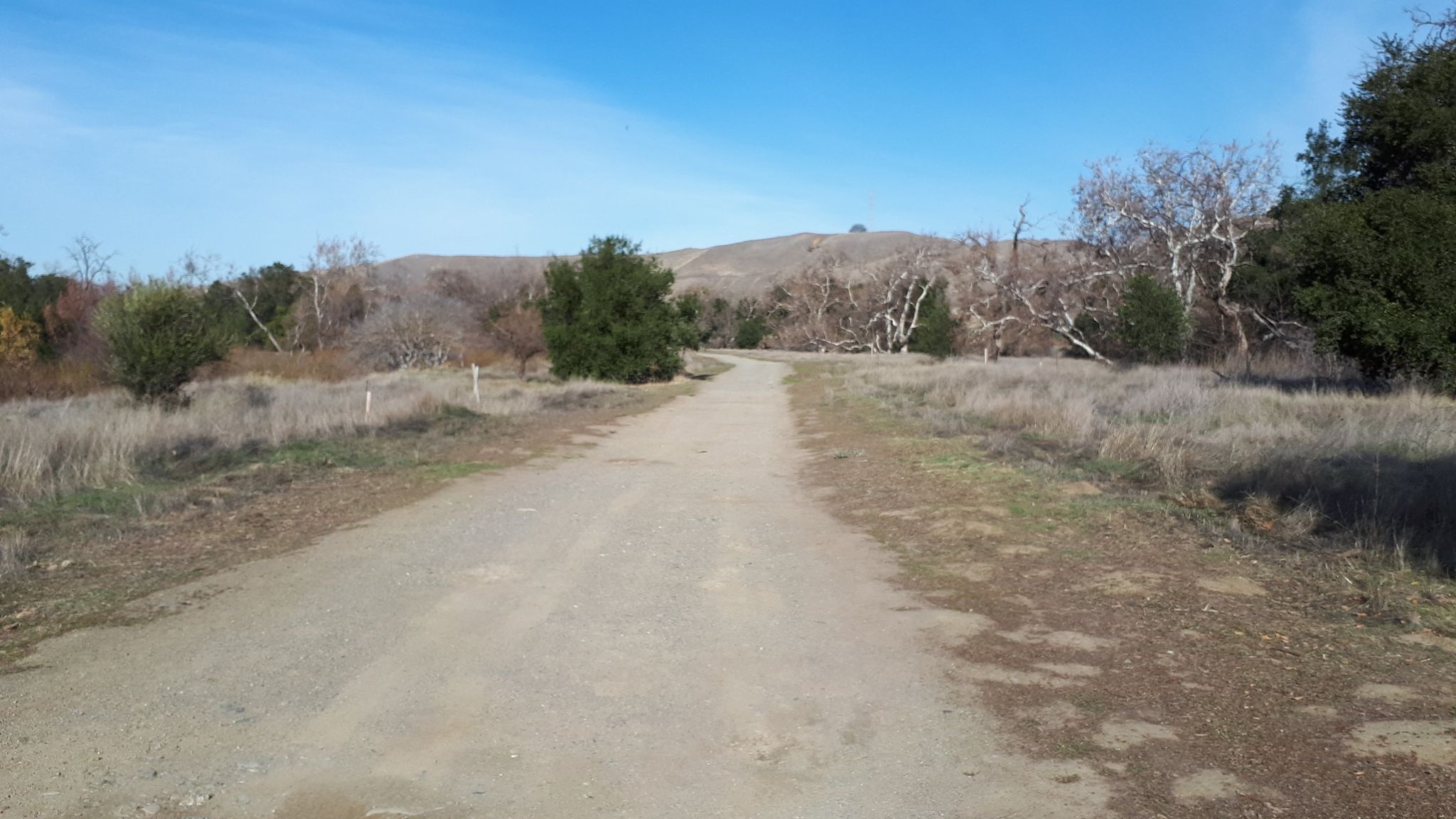 A sunny dirt road leads through dry grassy fields towards distant hills. - Sycamore Grove Park – Sycamore Grove Park loop from Independence Park