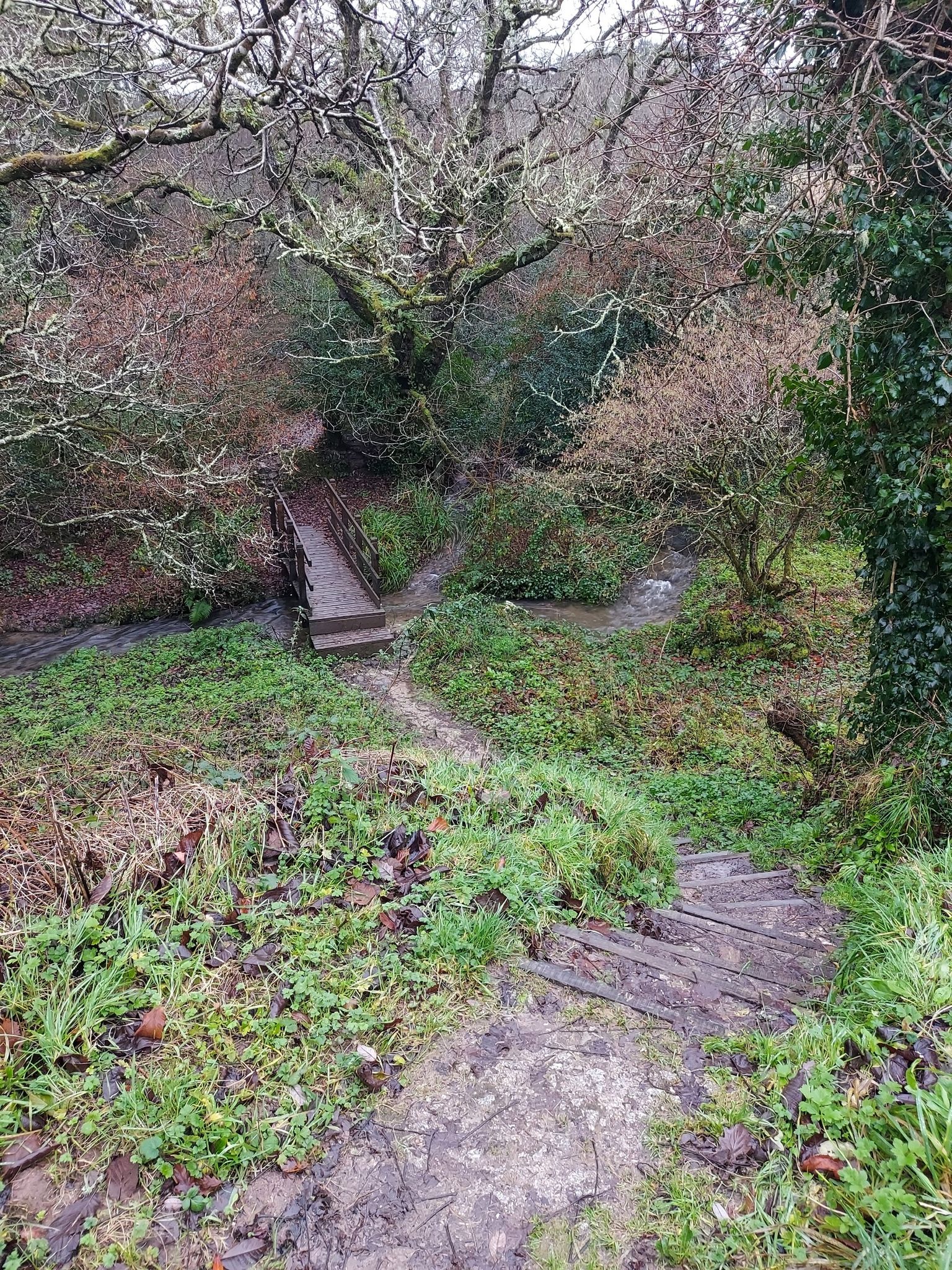 Bridge in Grass Vale