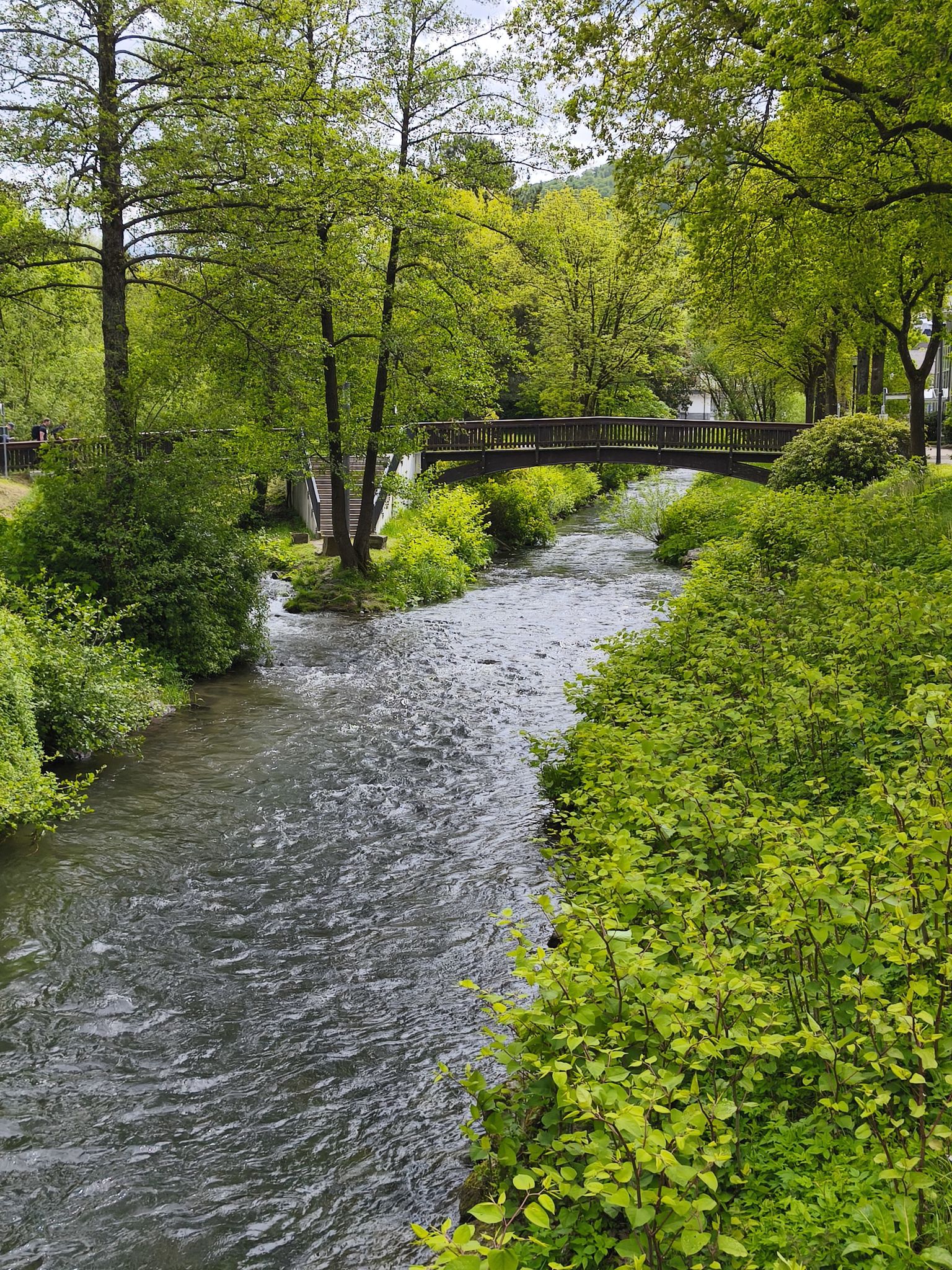 Die Ruhr in Olsberg 