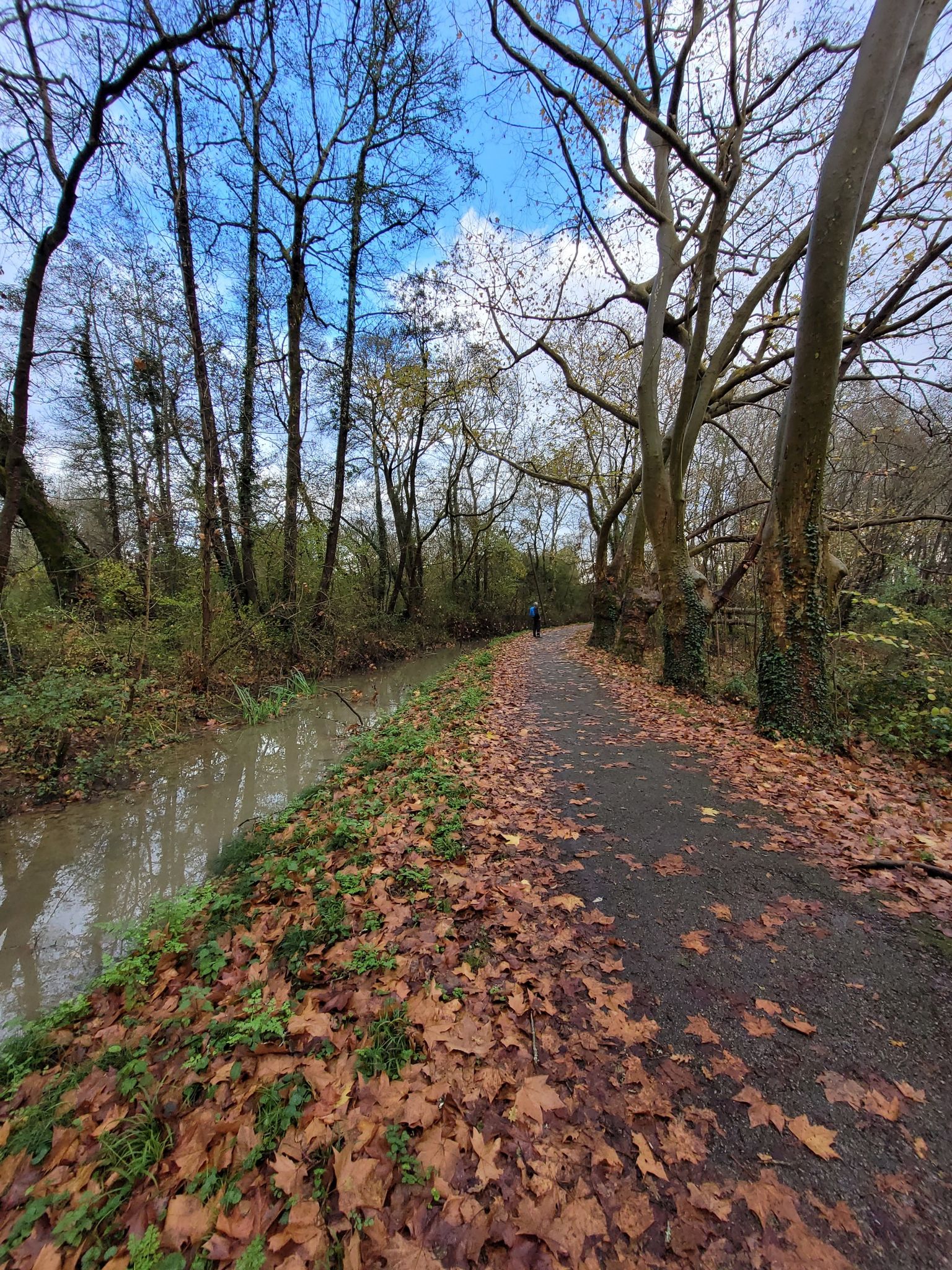 Mooi wandelpad met beekje