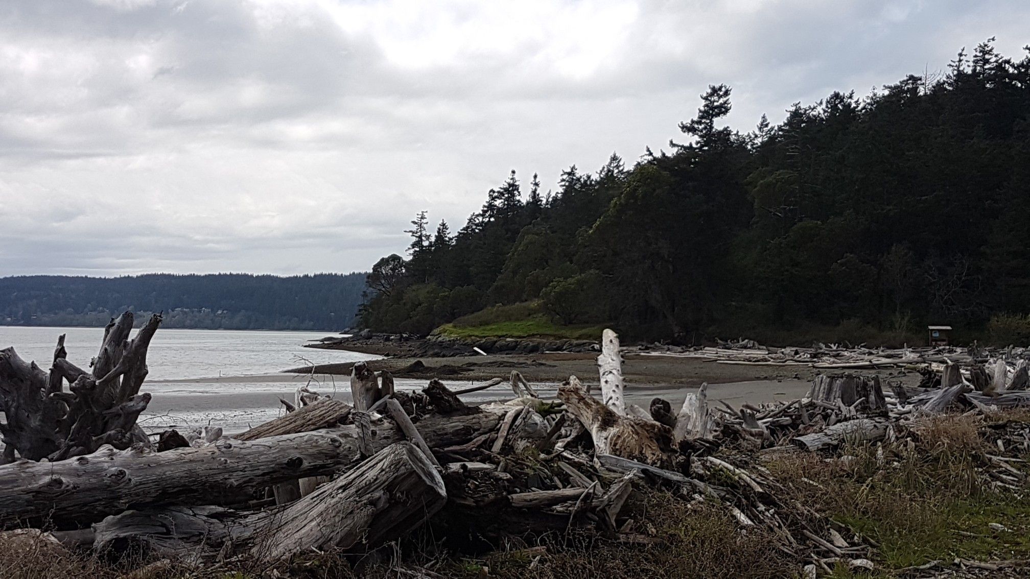 Overcast view of a sandy beach with large driftwood and forested hills. - Kukutali Preserve loop from Kukutali Preserve