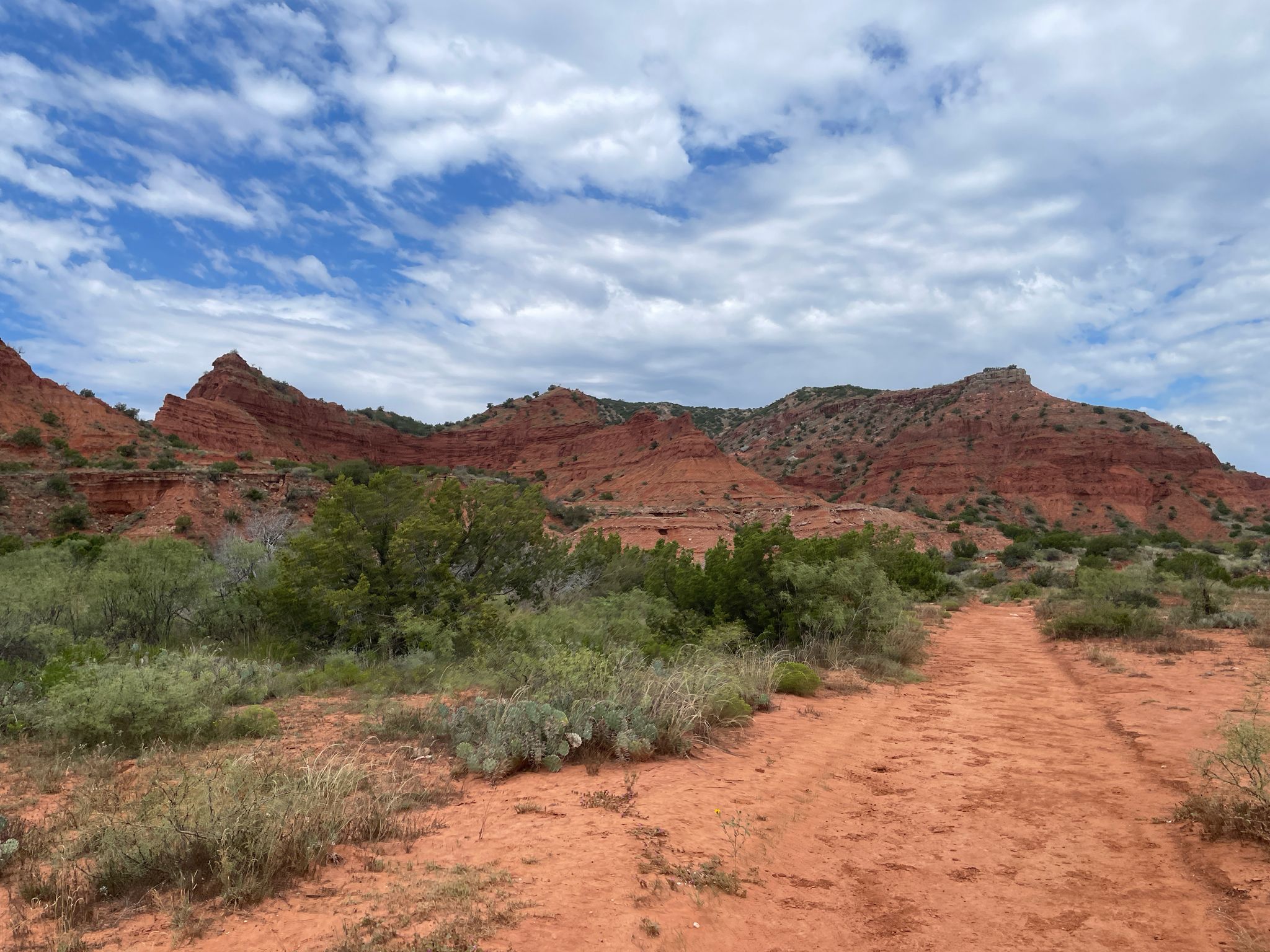 A dirt path leading towards towering red rock formations under a cloudy sky. - Canyon Loop Trail