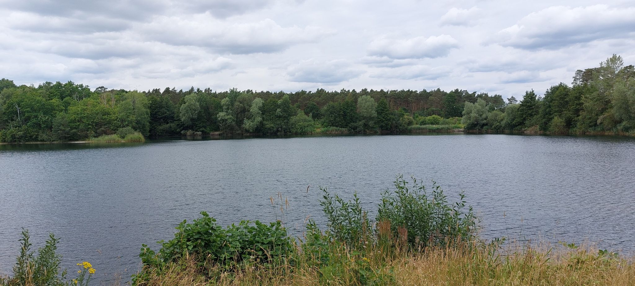 Kolshorner Teich
