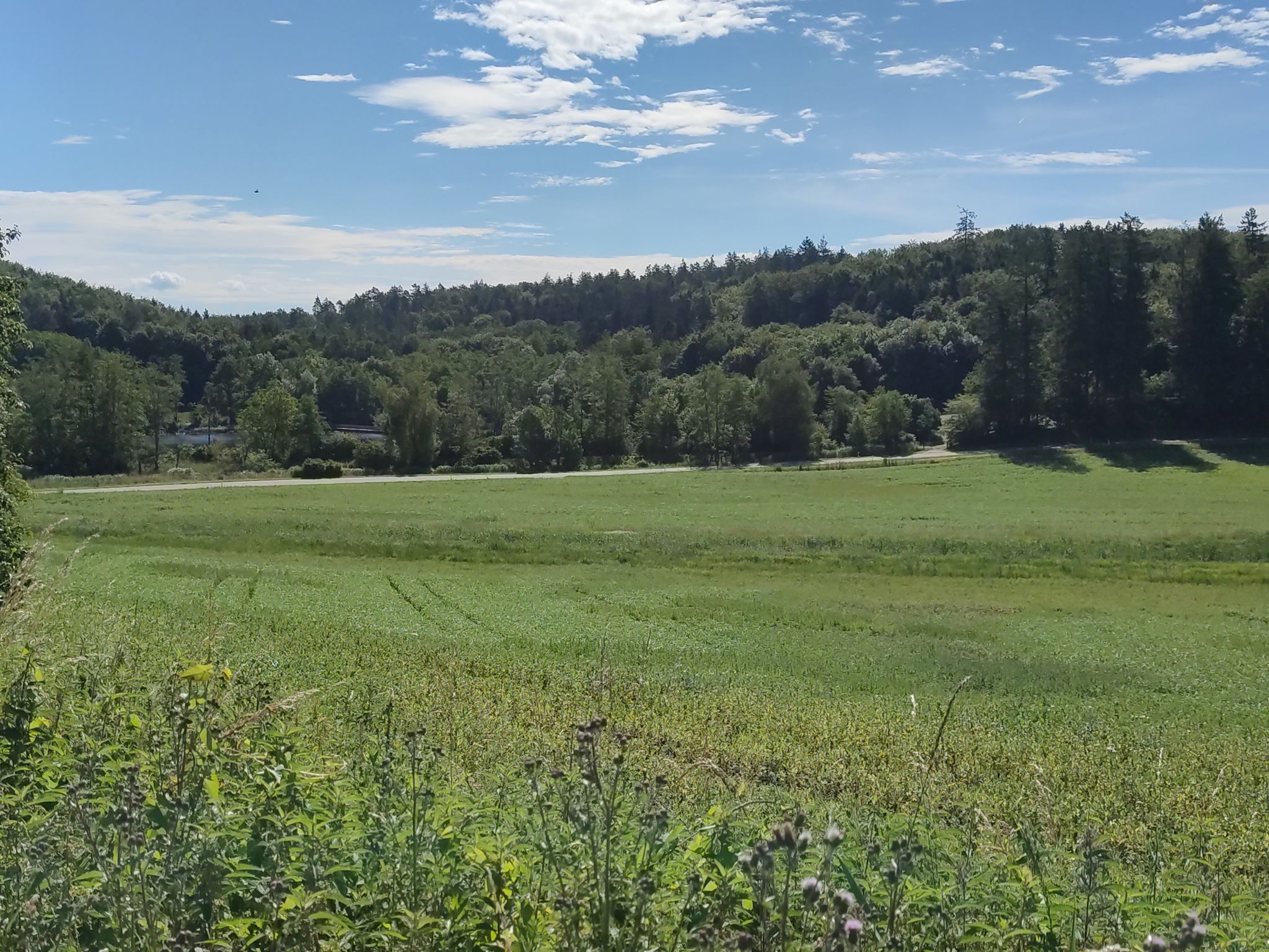 Blick zum Affenberg