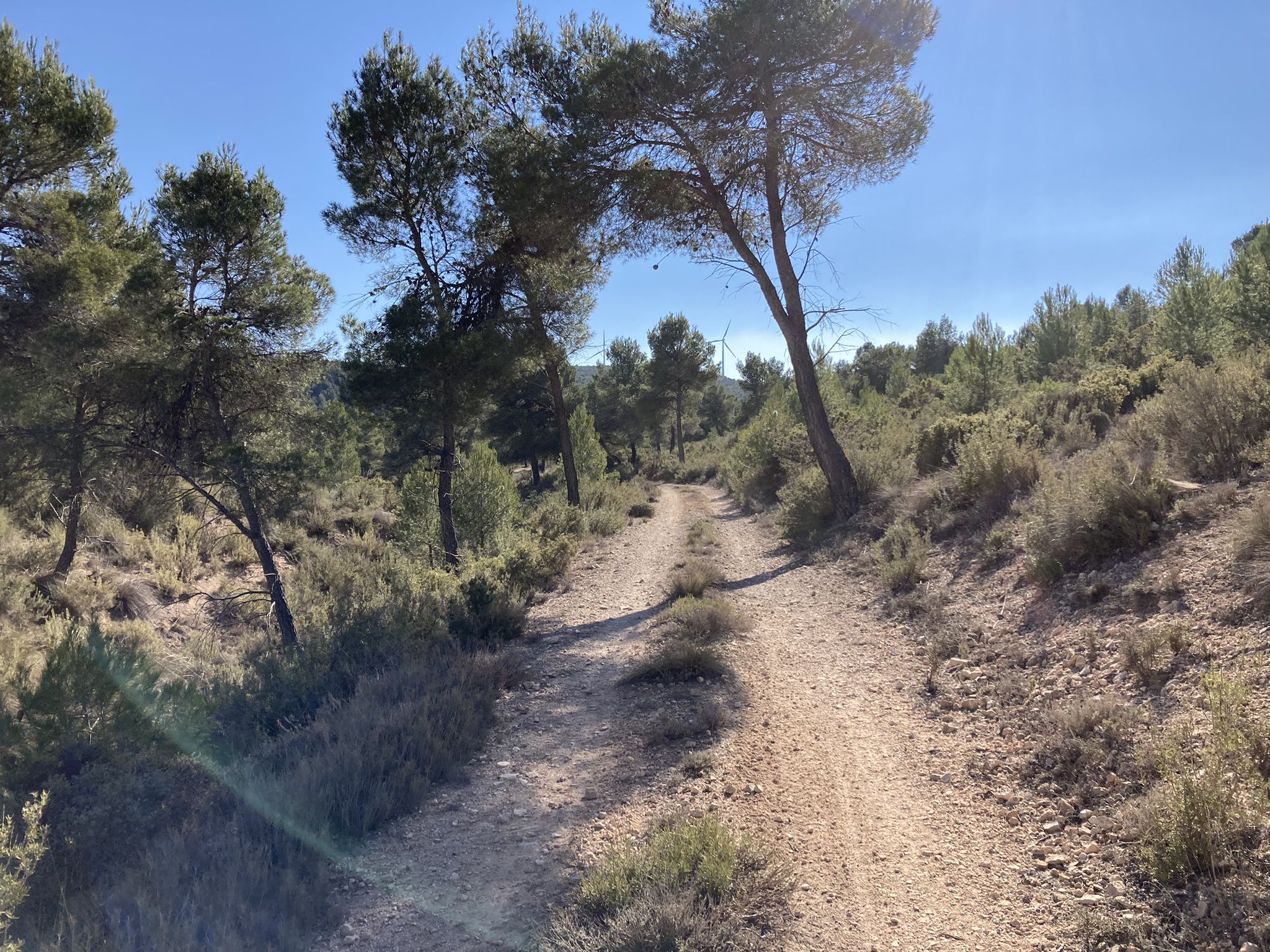 Barranco Ancho