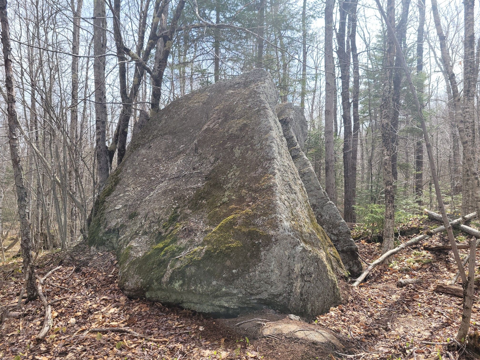 A massive, moss-covered triangular boulder sits among bare trees in a sunlit forest. - Stoddard Rocks via Pioneer Lake