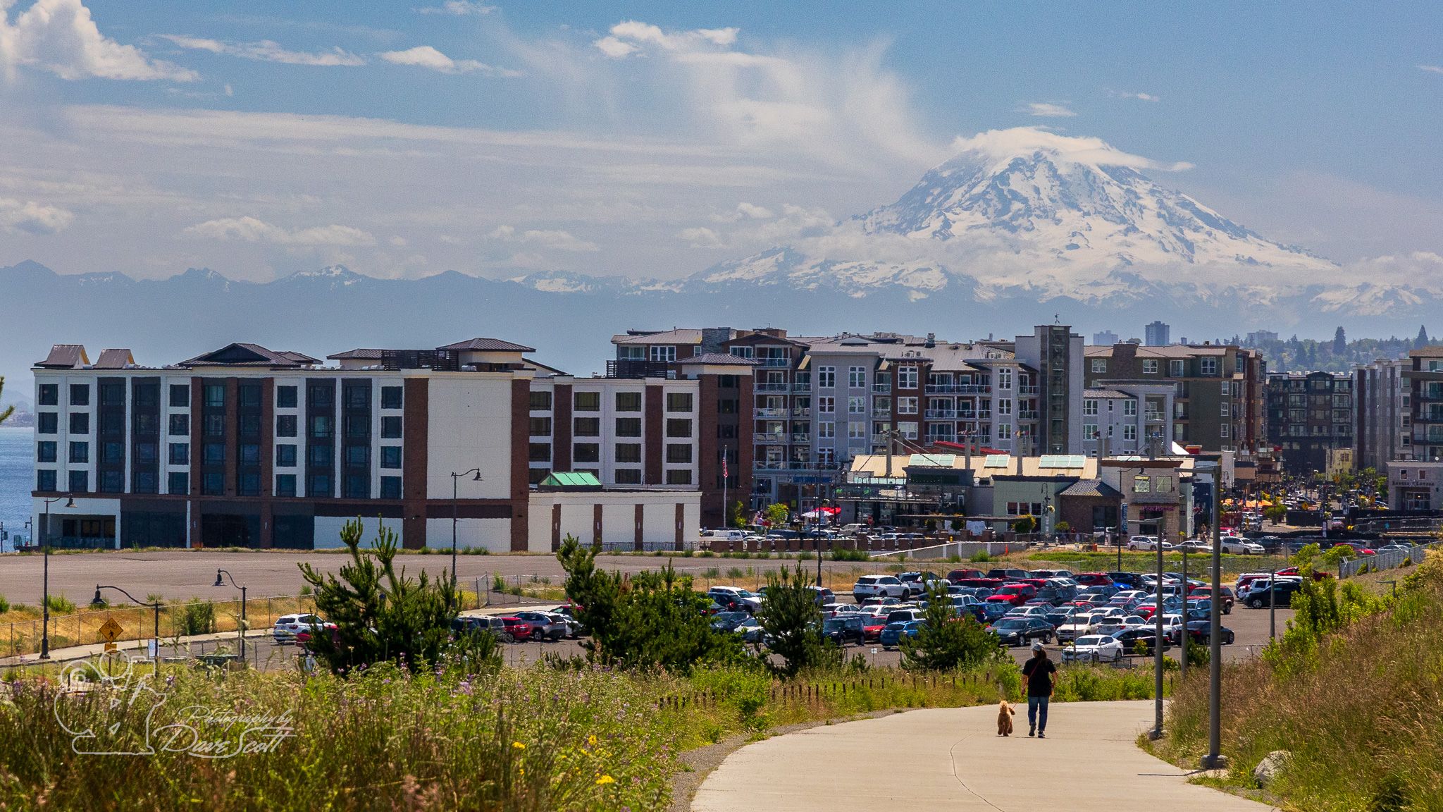 Sunny cityscape with buildings, distant snow-capped mountain, and person walking dog. - Wilson Way